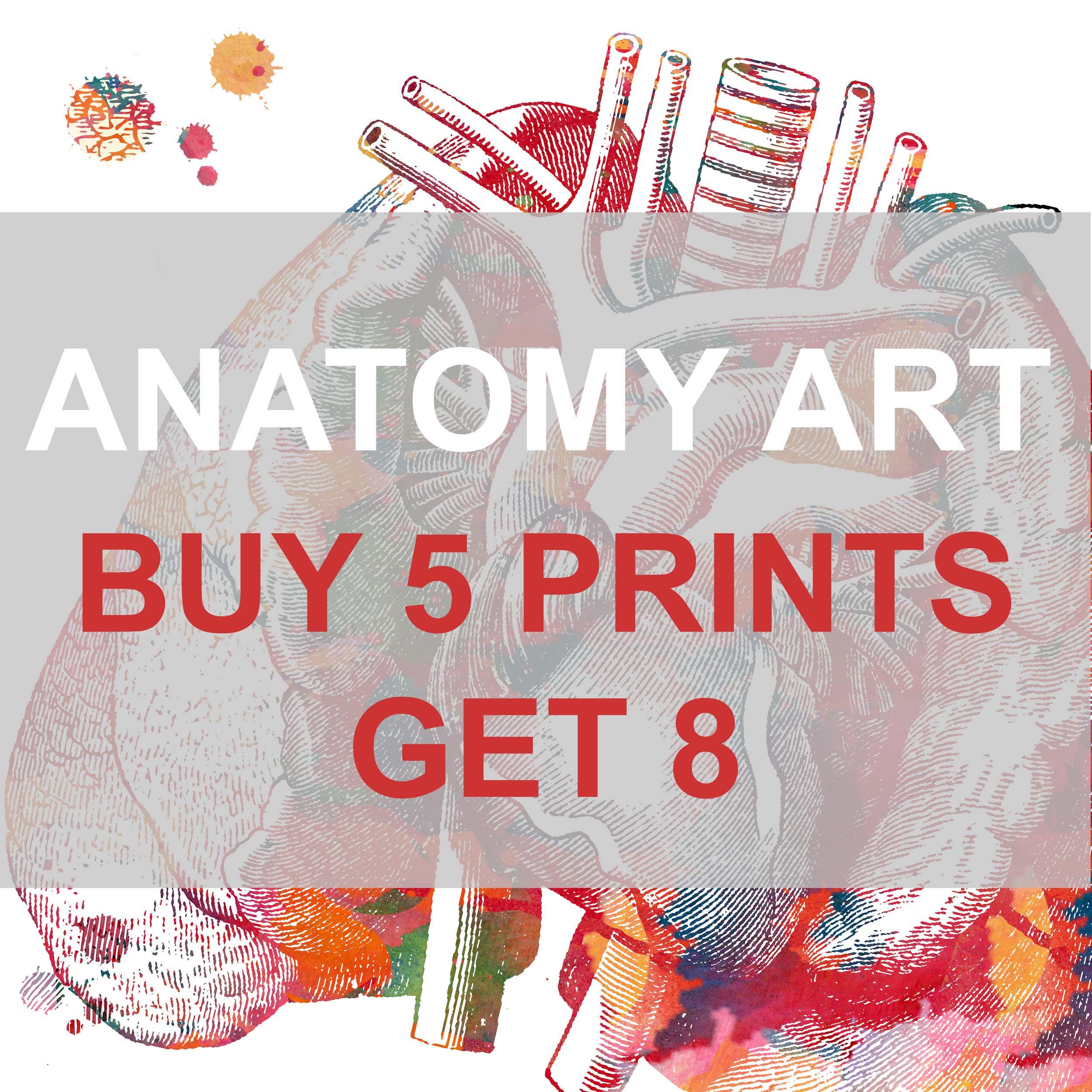 Buy 5 Anatomy And Science Prints Get 8