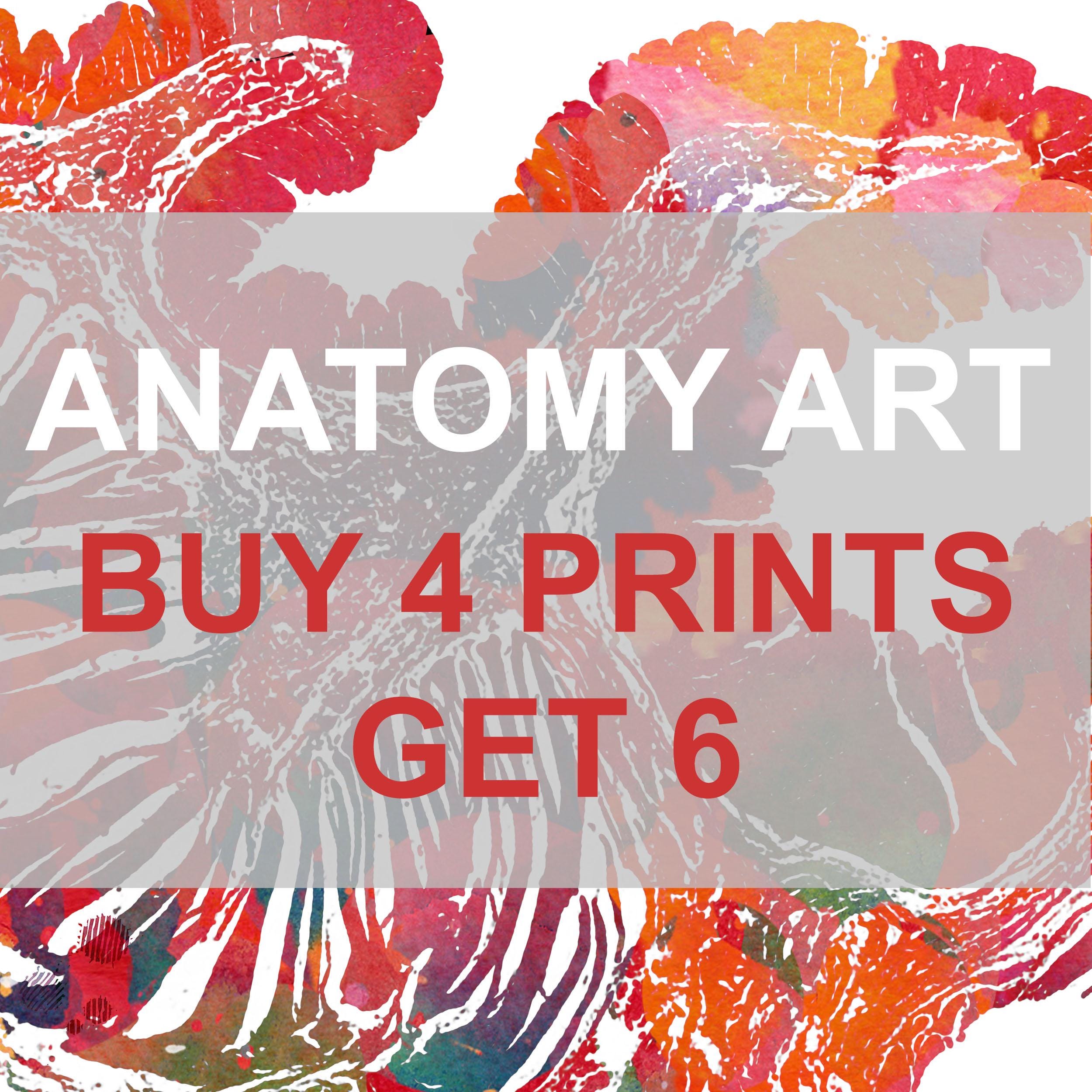Buy 4 Prints Get 6 Anatomy Art Prints Set