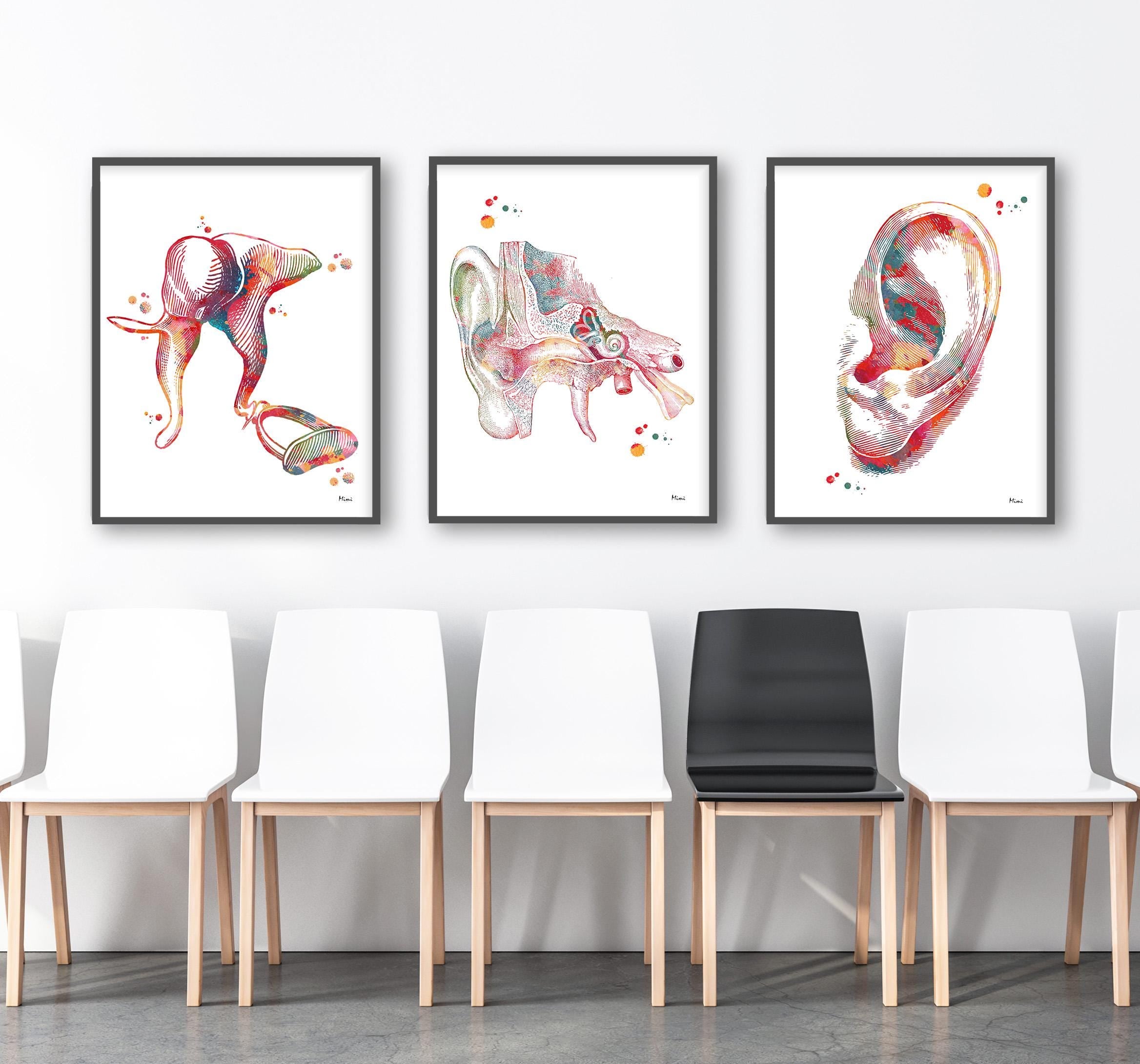 Product listing image with the 3 ear anatomy prints hanging on a wall 3
