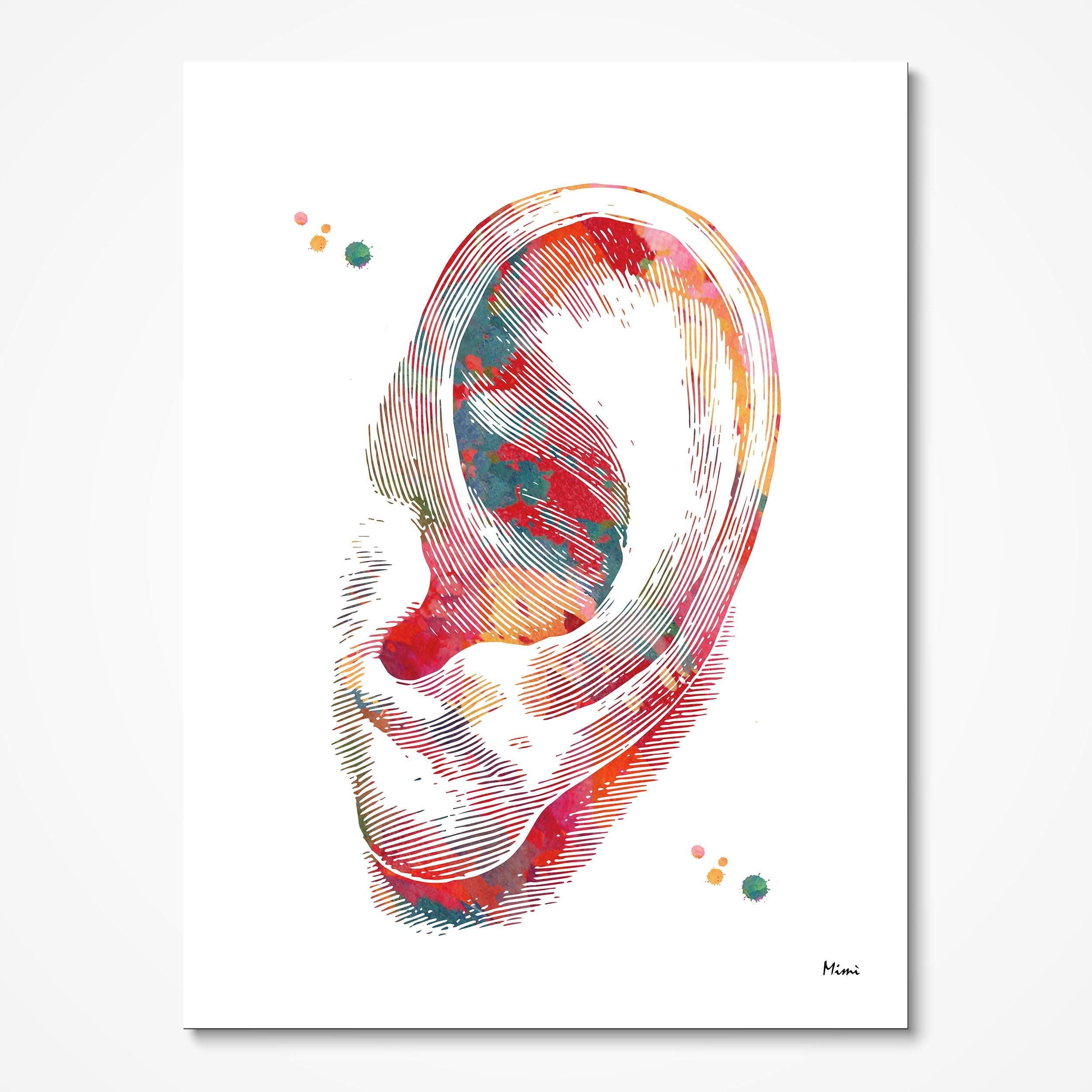 Product listing image with the outer ear print on paper
