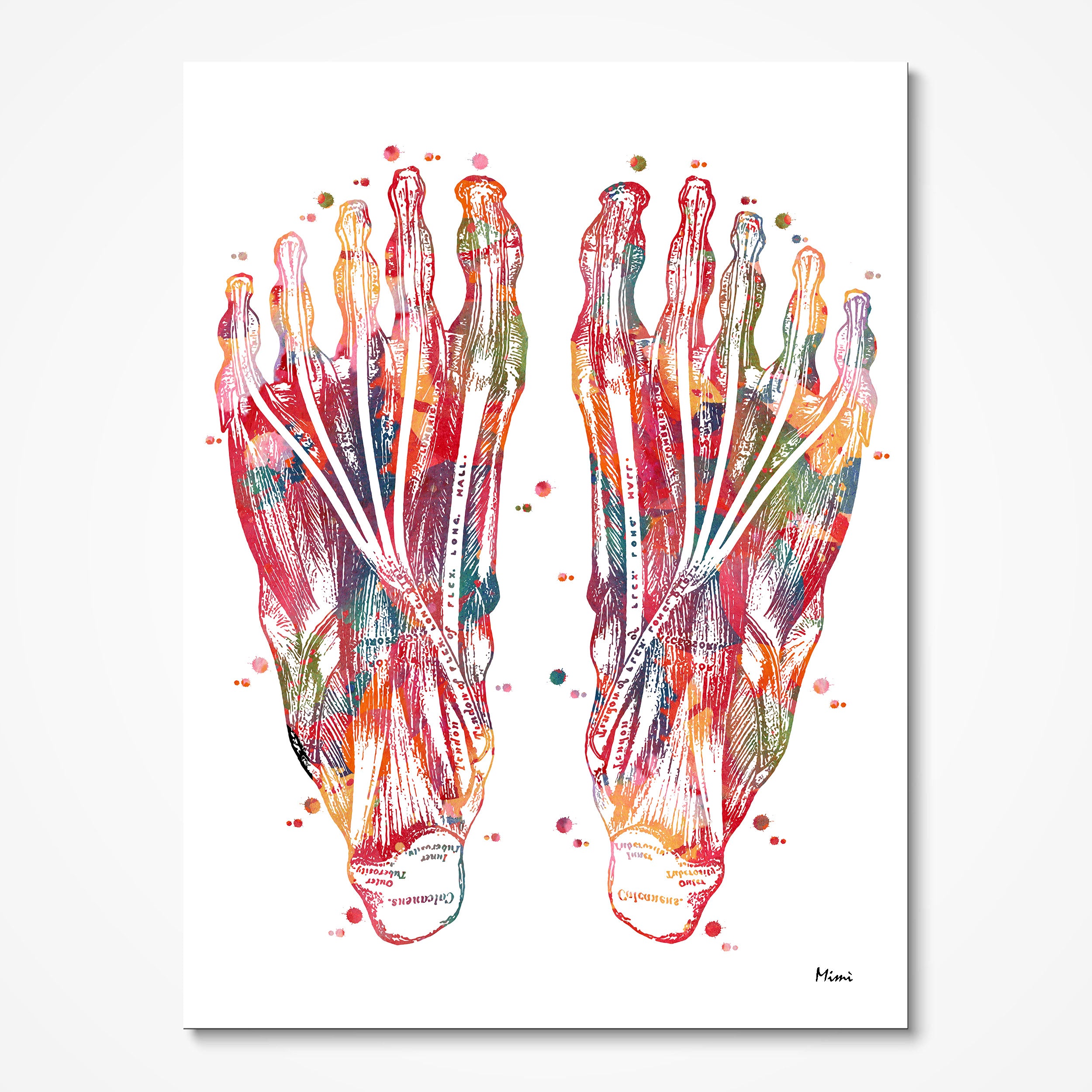 The image is a colorful, abstract illustration of the anatomy a human foot, depicting the intricate network of muscles and tendons that make up the foot's structure.