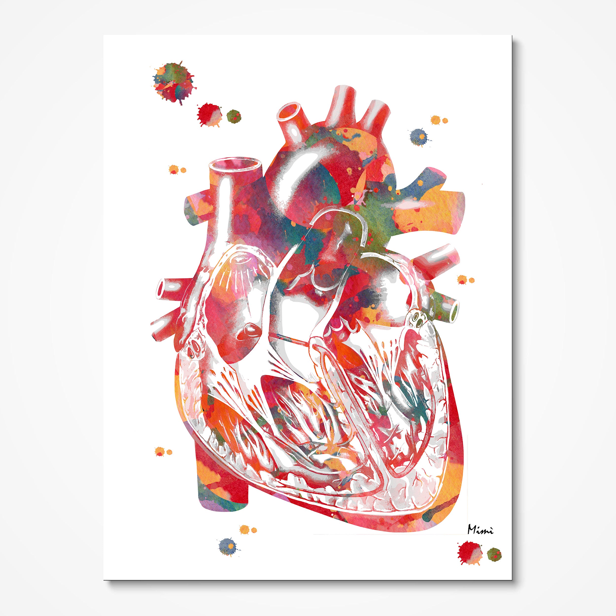 Colorful anatomical heart artwork on a white background