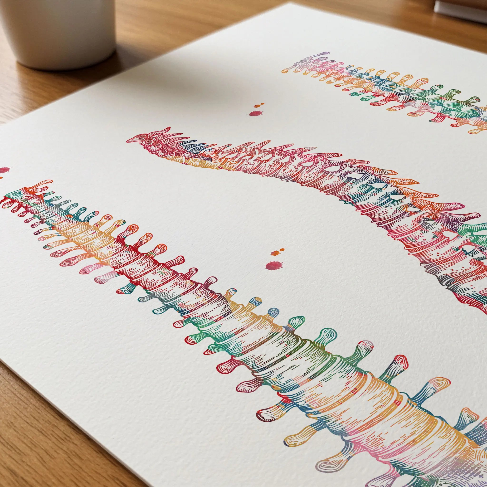 Close up of human spine and spinal cord print showing paper texture and grain