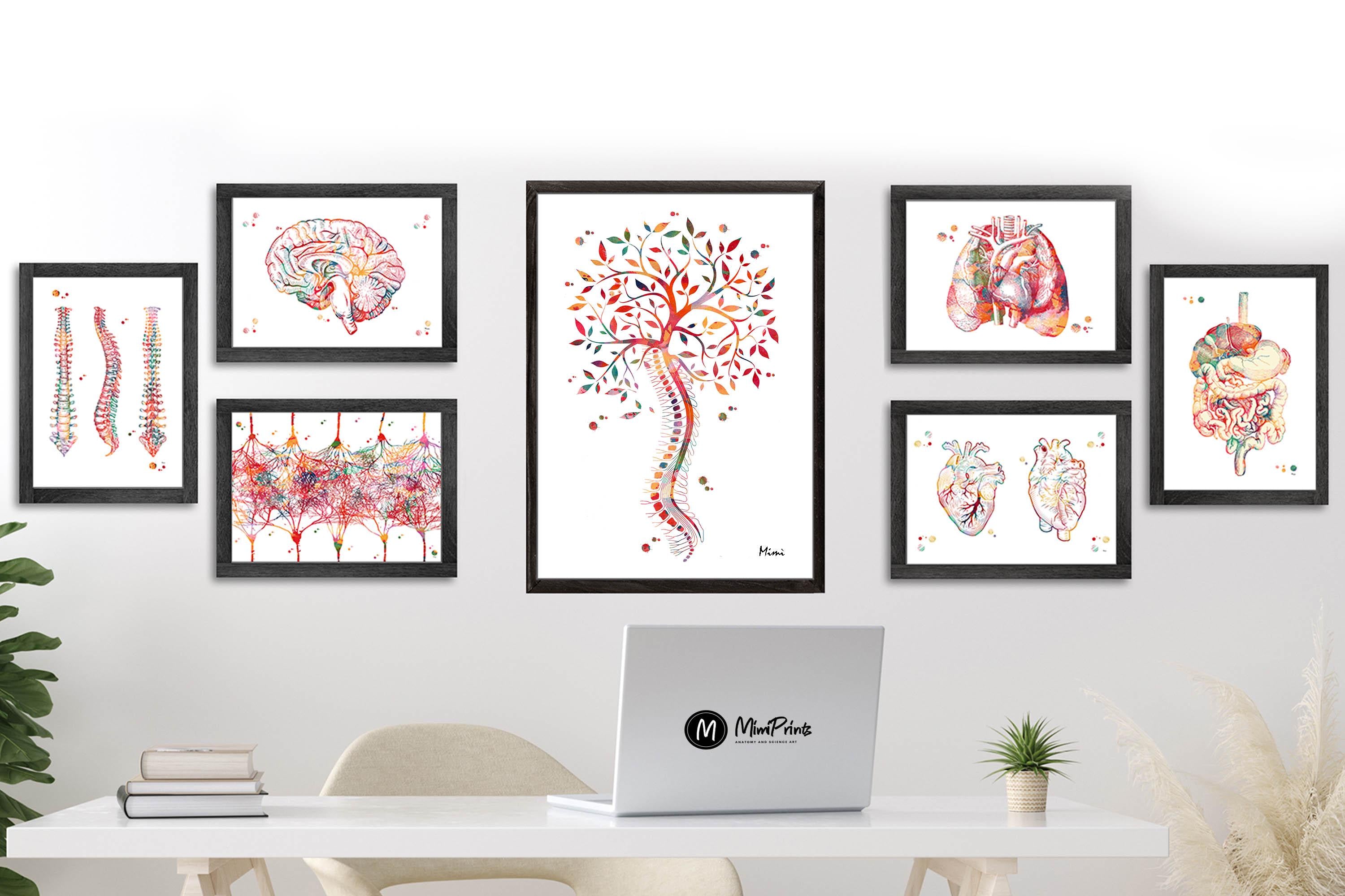 Human Spine Tree Of Life Watercolor Print Image 6