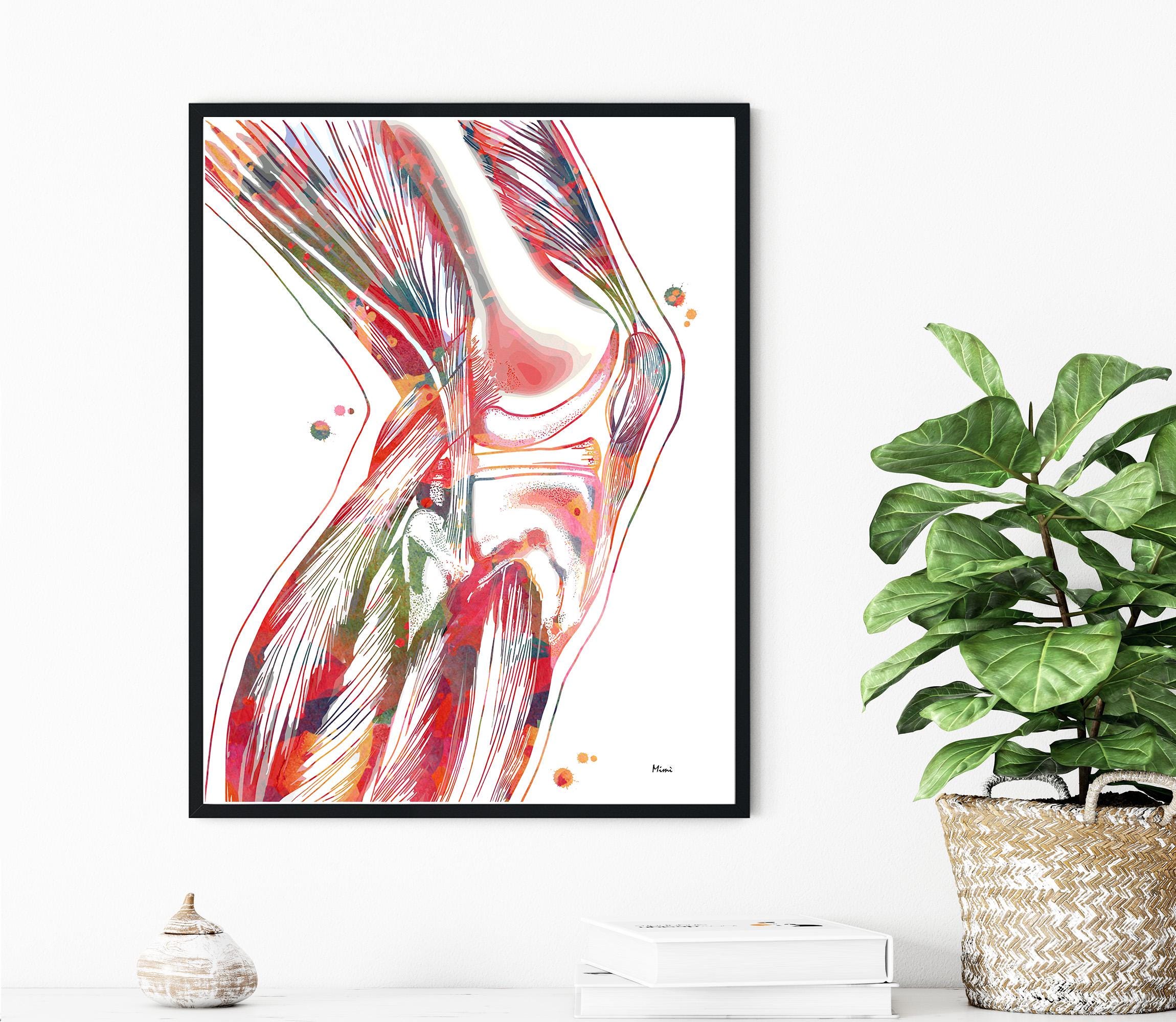 Knee Anatomy Print image 2