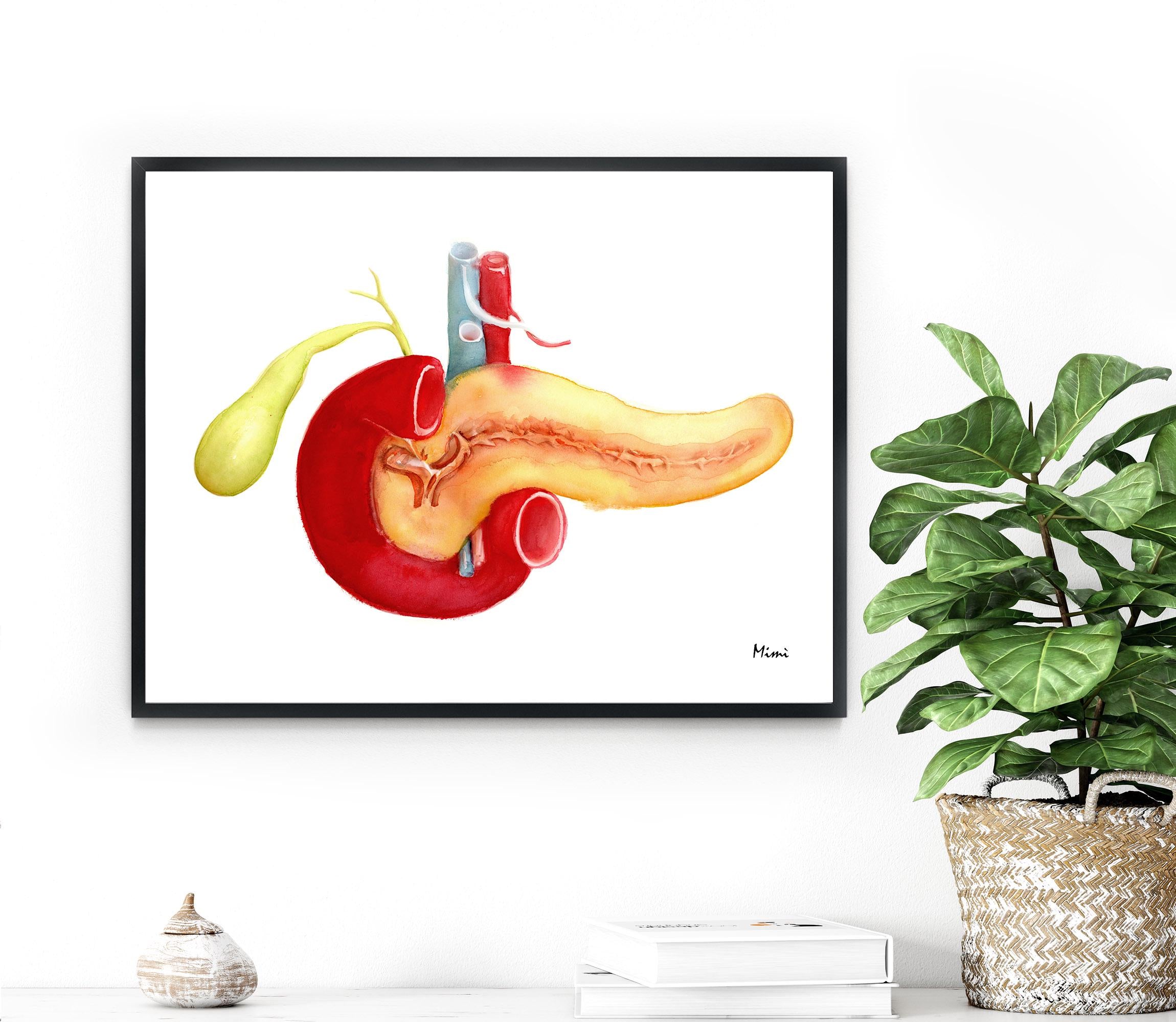 Pancreas And Gallbladder Watercolor Premium Giclee Print Image 2