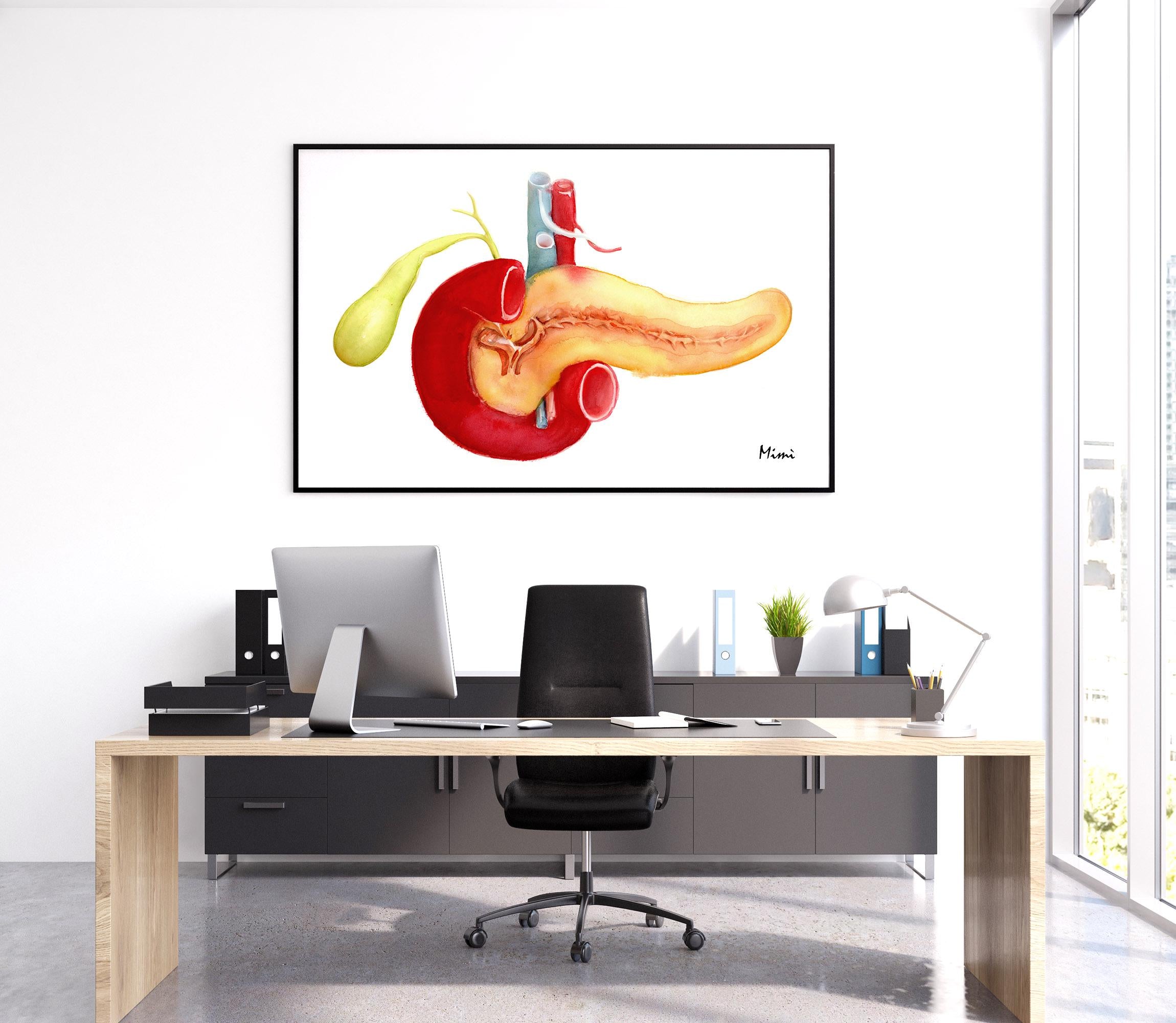 Pancreas And Gallbladder Watercolor Premium Giclee Print Image 5