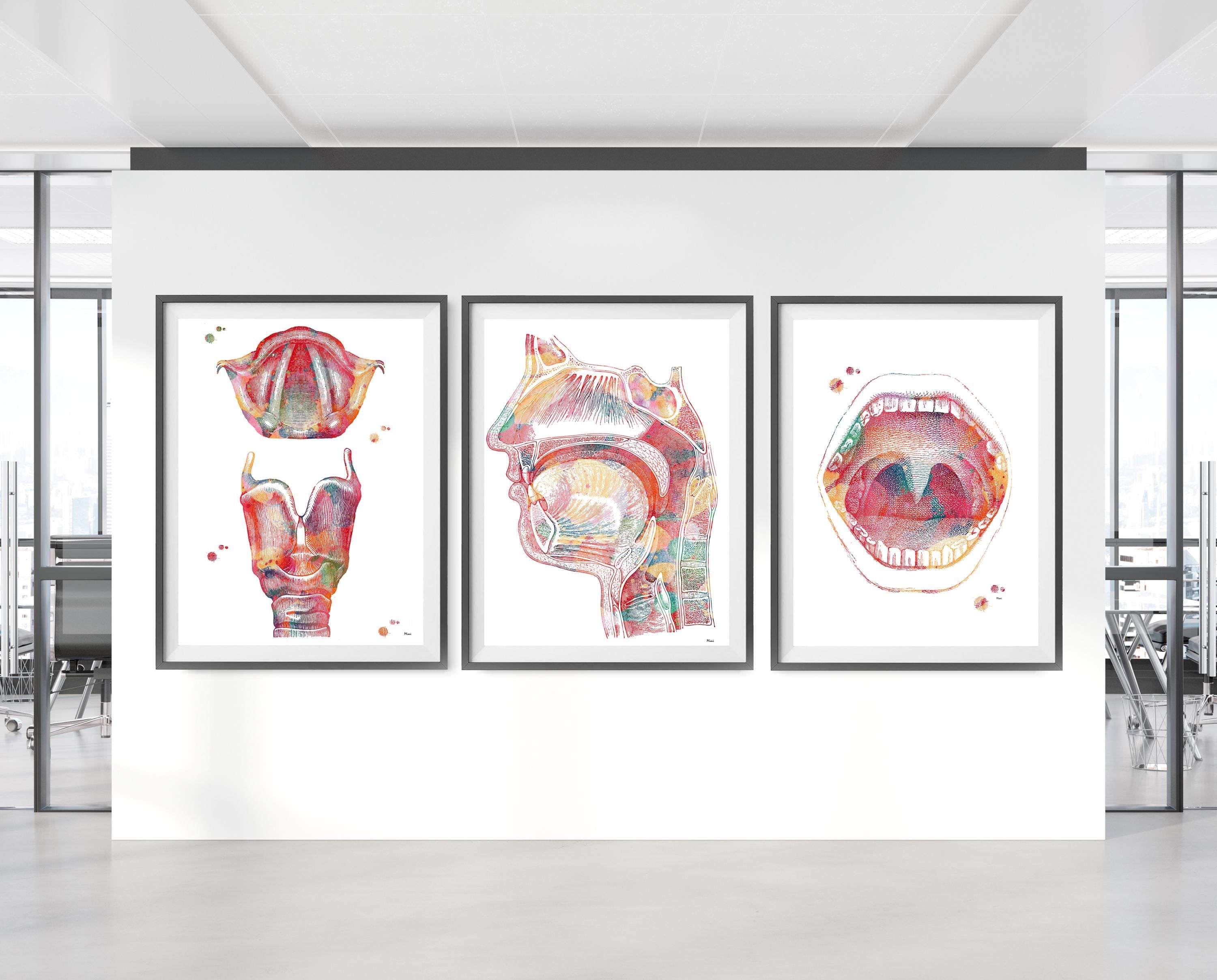 Respiratory System 3 Prints Set Larynx, Air Pathway, Mouth Anatomy Image 3