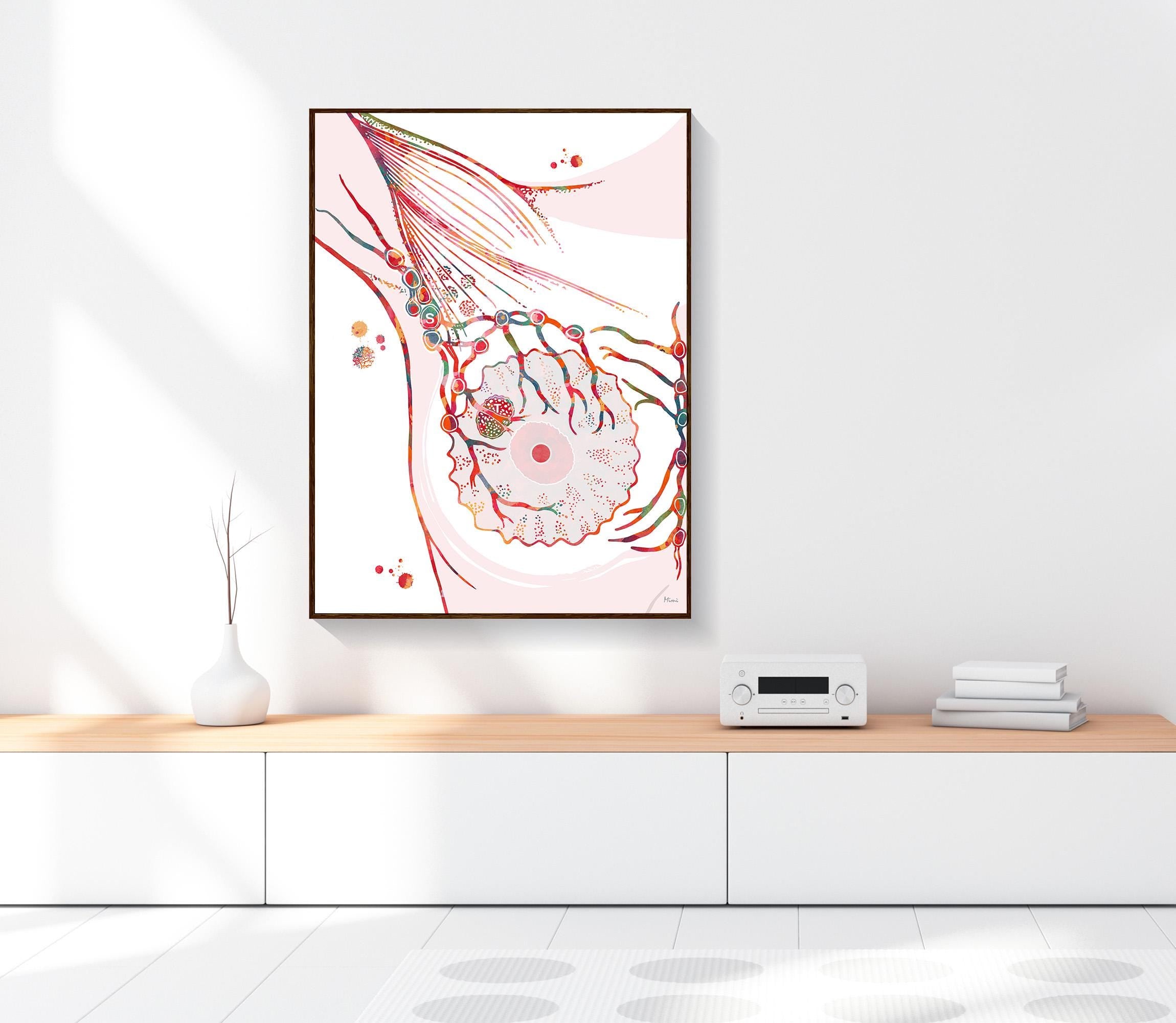 Sentinel Lymph Node Anatomy Image 3