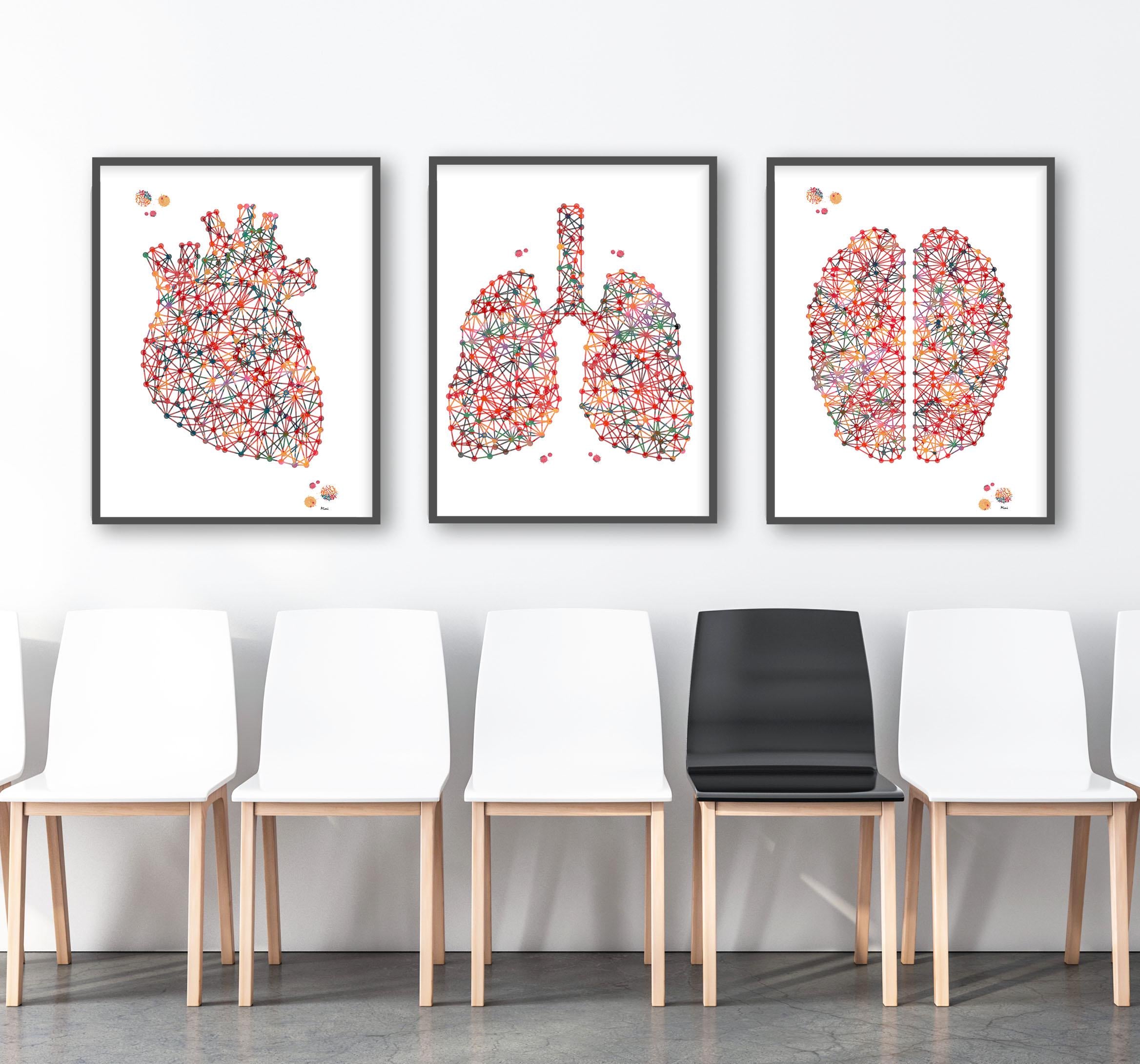 Set Of 3 Anatomy Posters Heart, Lungs, Brain 1