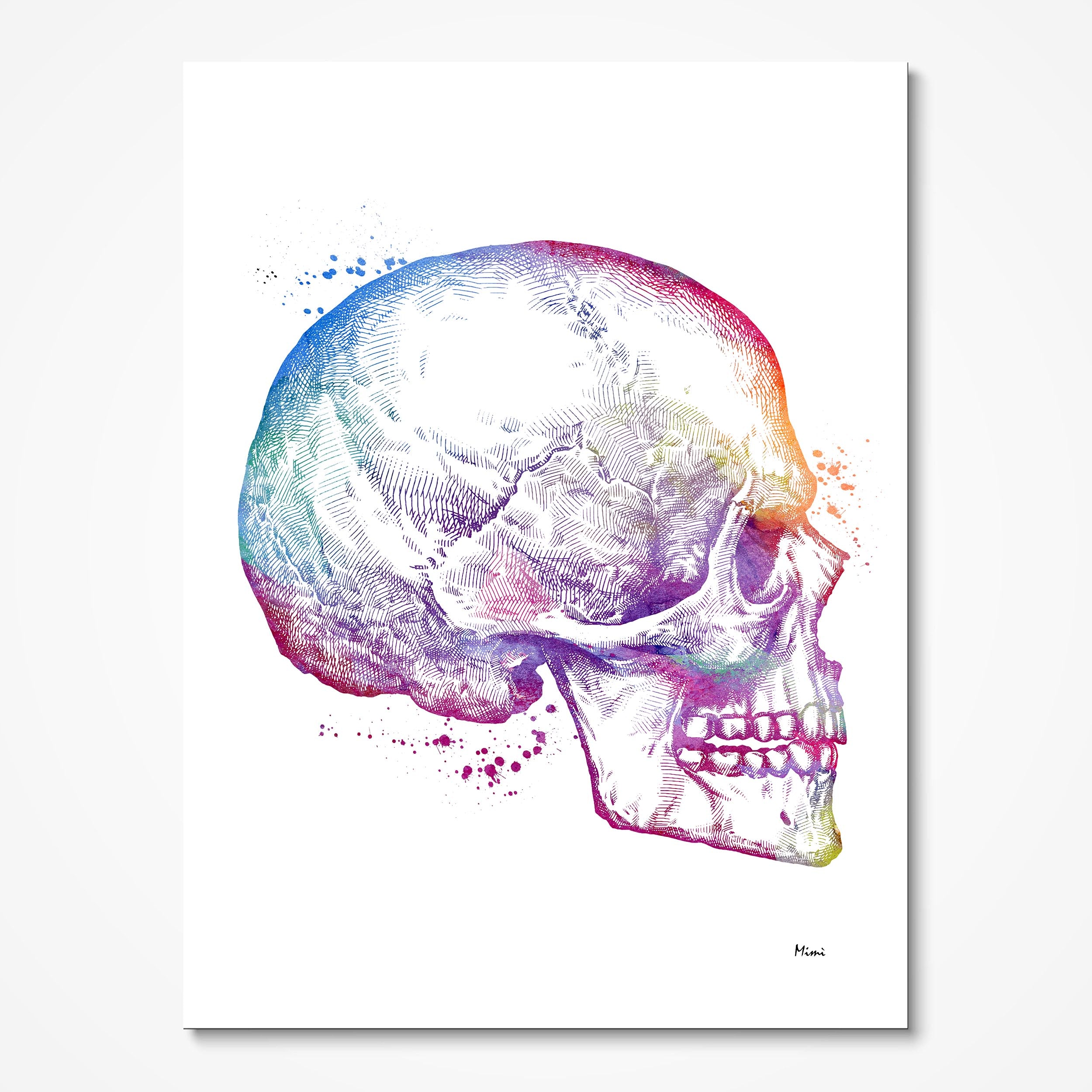 anatomy 5 prints set sample image 3