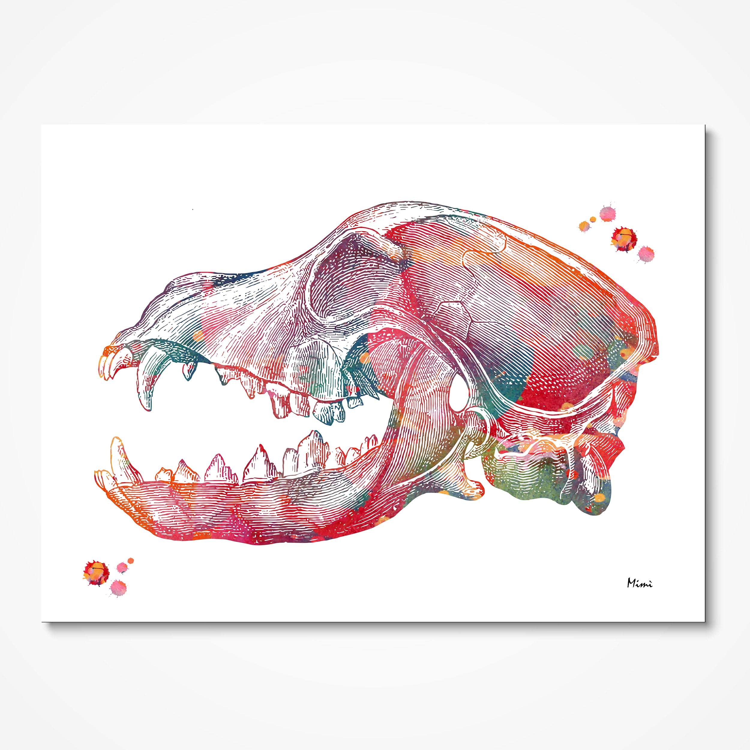 anatomy 5 prints set sample image 4