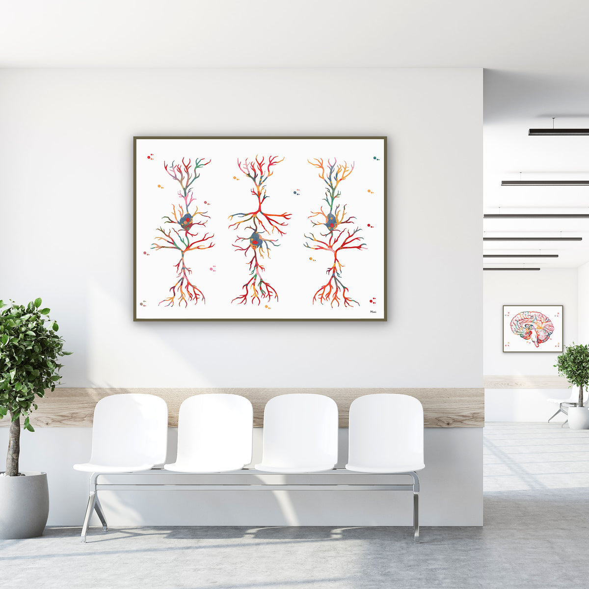 brain pyramidal cells watercolor print hanging in a clinic waiting room