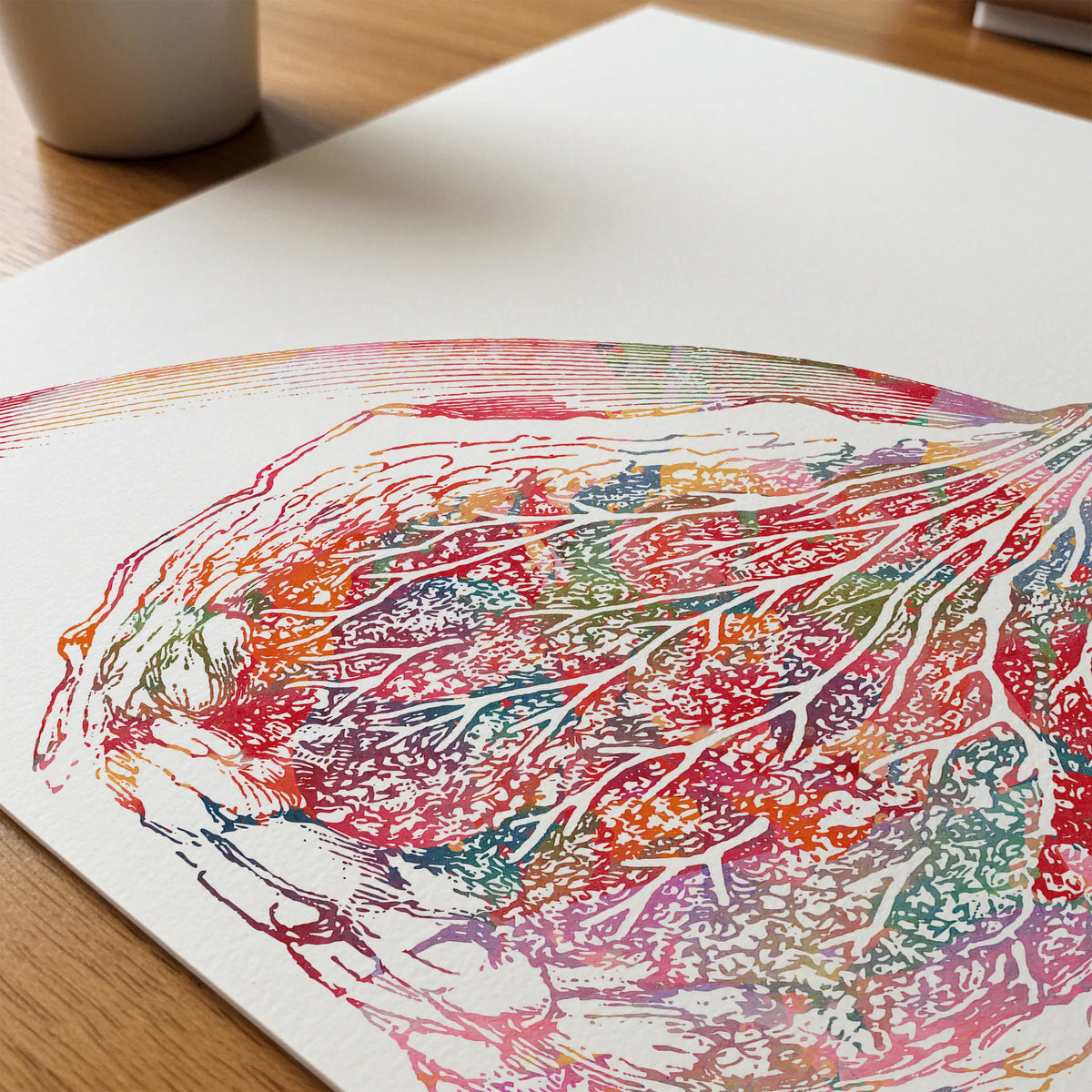 Close-up of breast & mammary gland anatomy watercolor print showing paper texture and grain