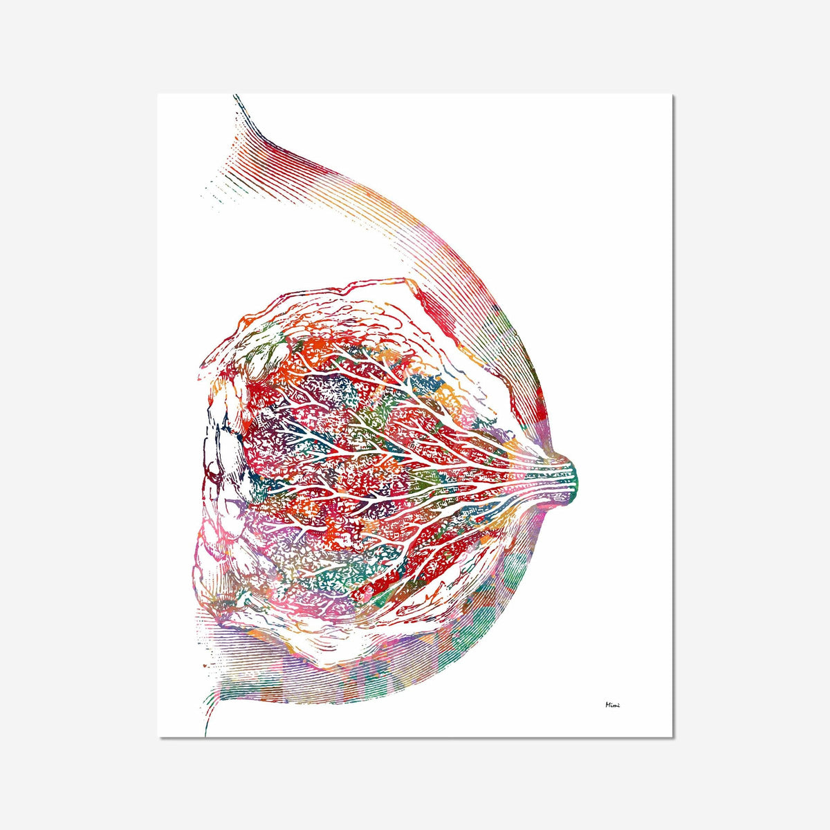 Breast & Mammary Gland Anatomy watercolor art print for OB-GYN clinic wall decor