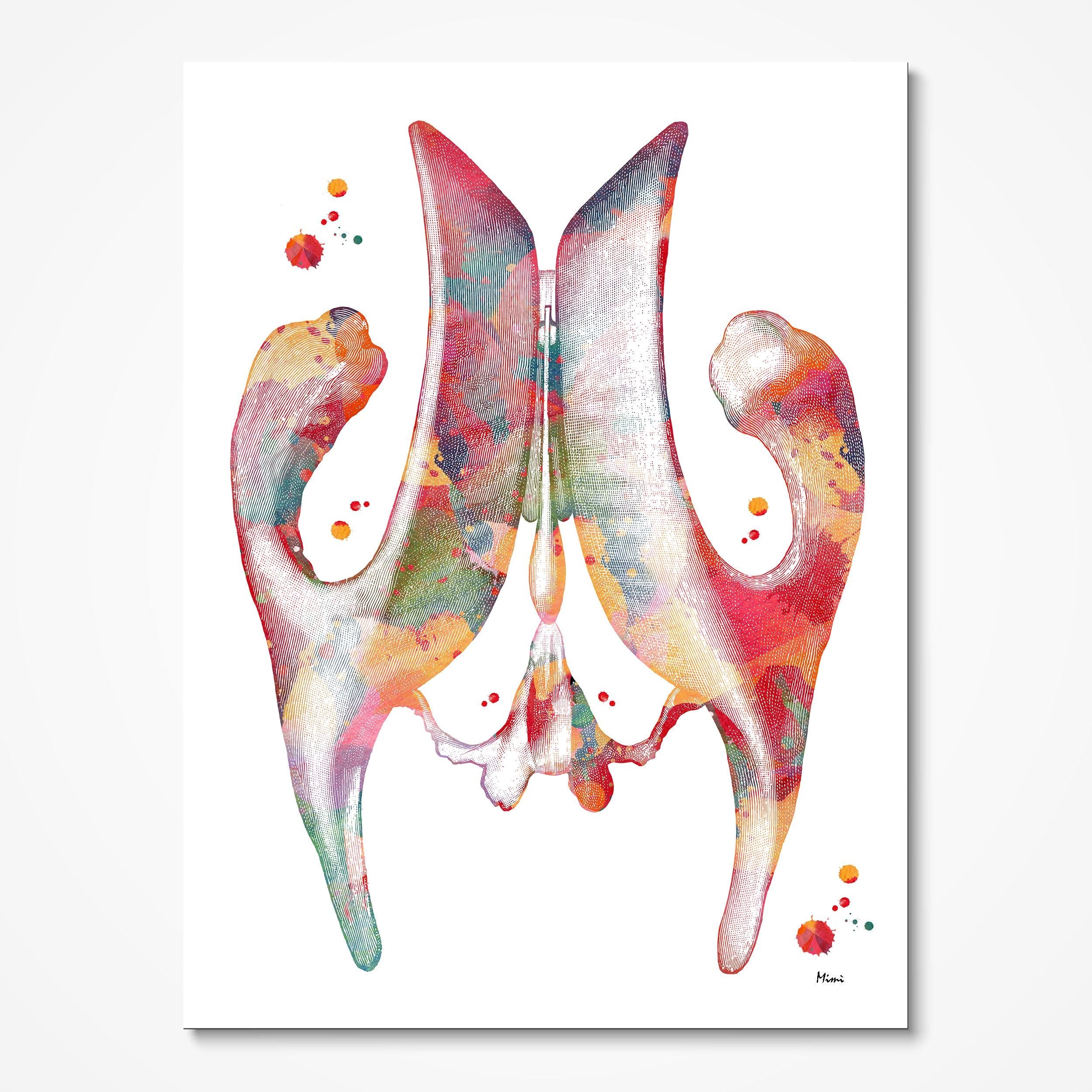 cerebral ventricle anatomy print image 1