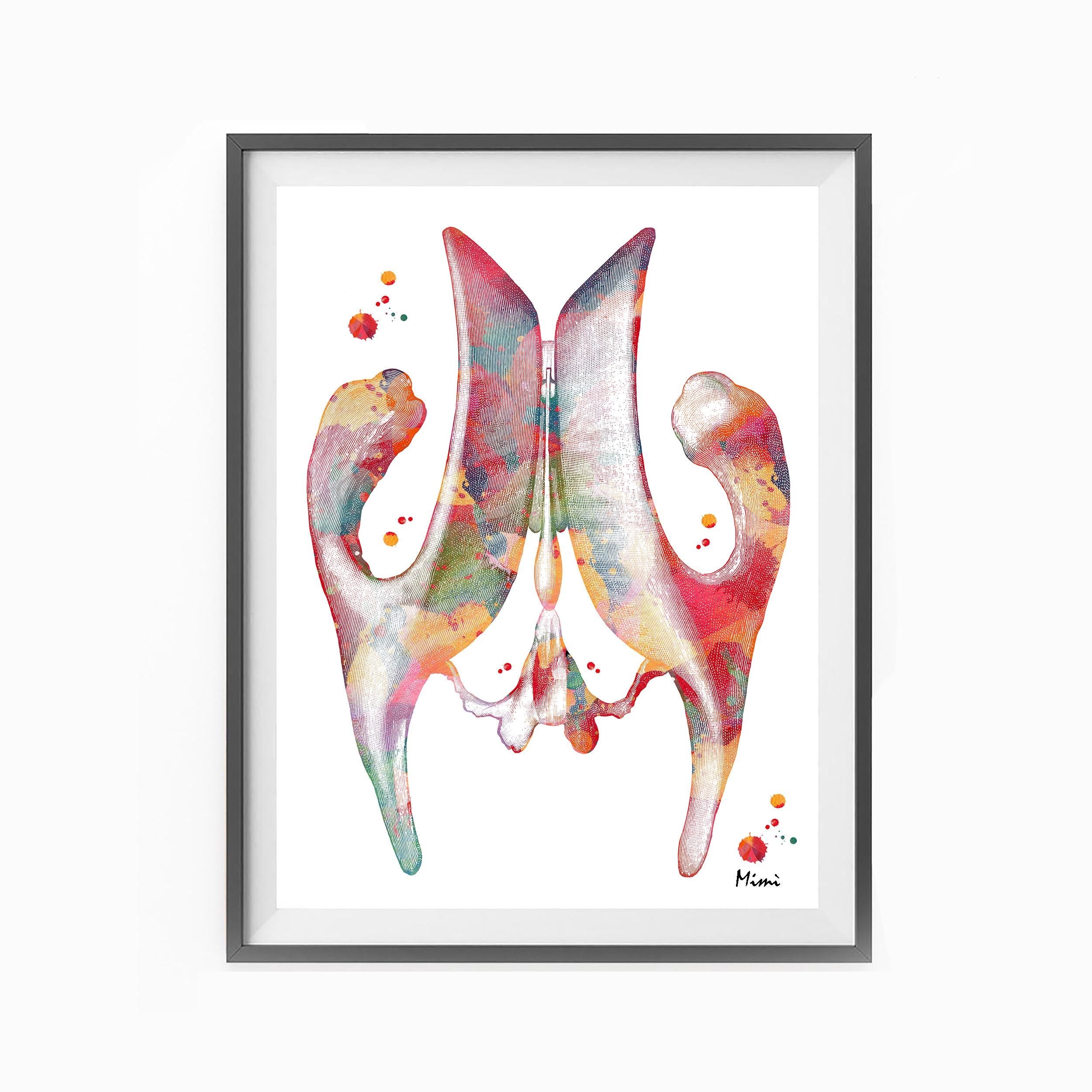 cerebral ventricle anatomy print image 2