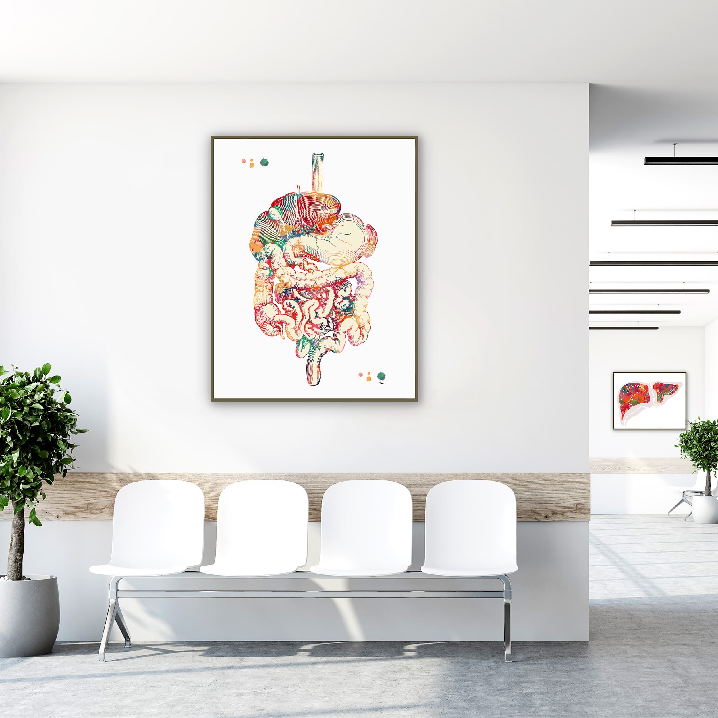 Framed digestive tract watercolor print in a clinic waiting room