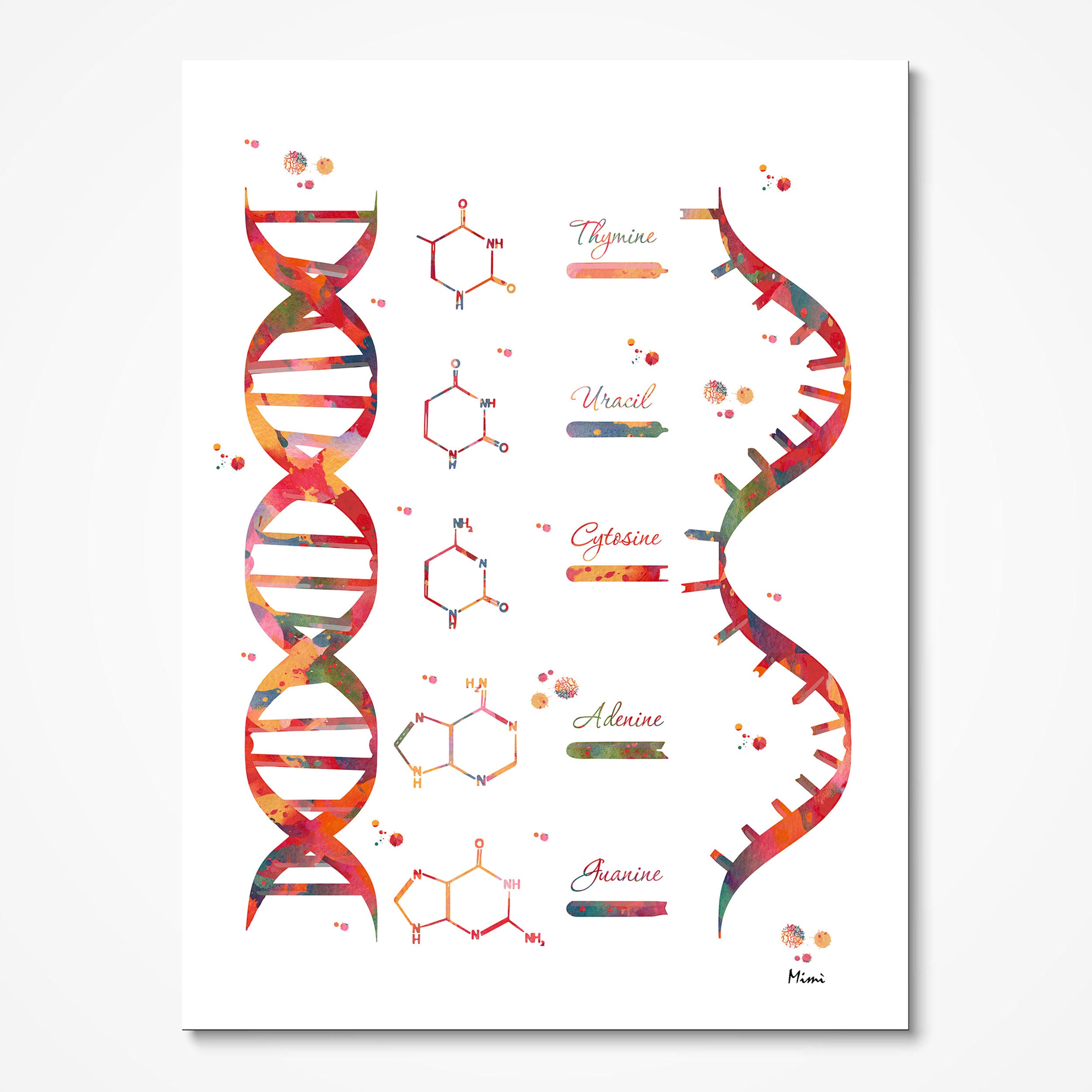 DNA and RNA Structure Genetics watercolor art print for genetics lab wall decor