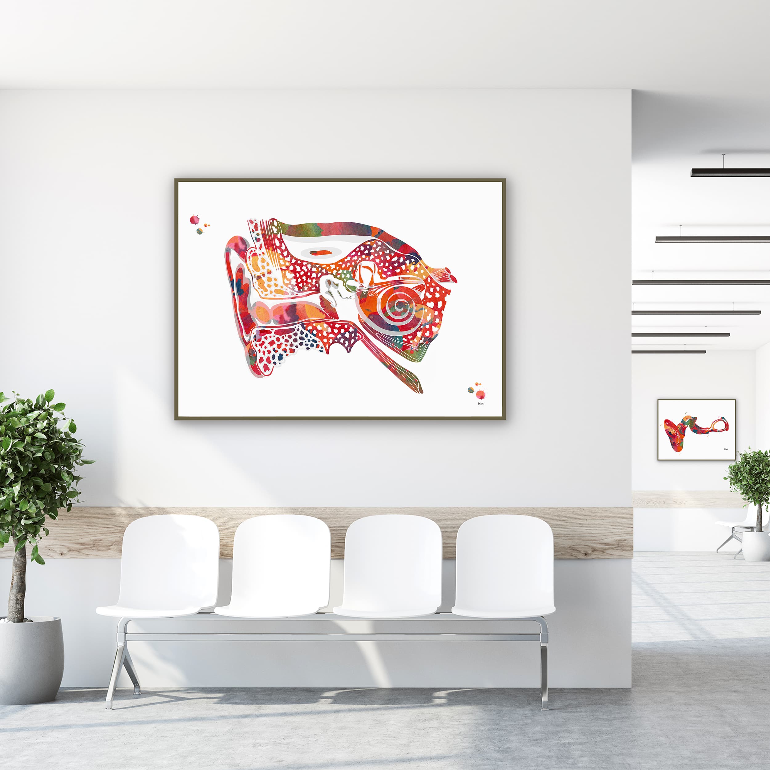 Framed ear cross-section watercolor print in a clinic waiting room