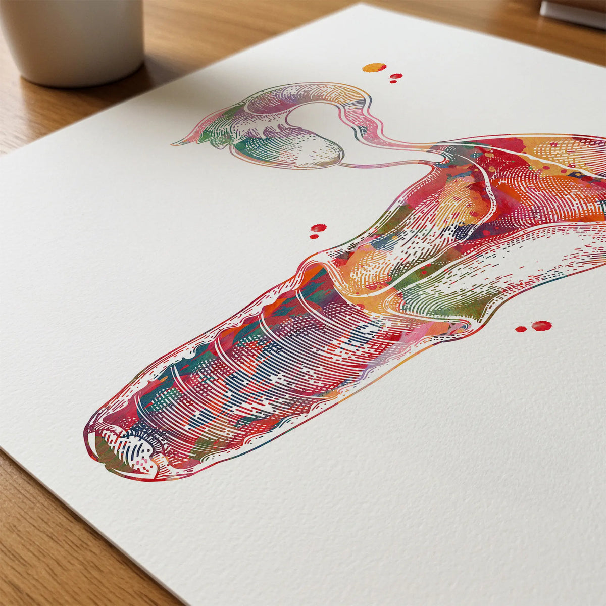 Close-up of female reproductive system anatomy watercolor print showing paper texture and grain