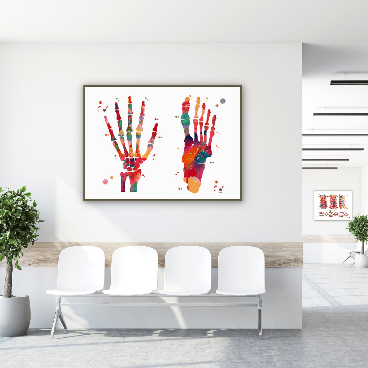 Framed foot & hand bones watercolor print in a clinic waiting room