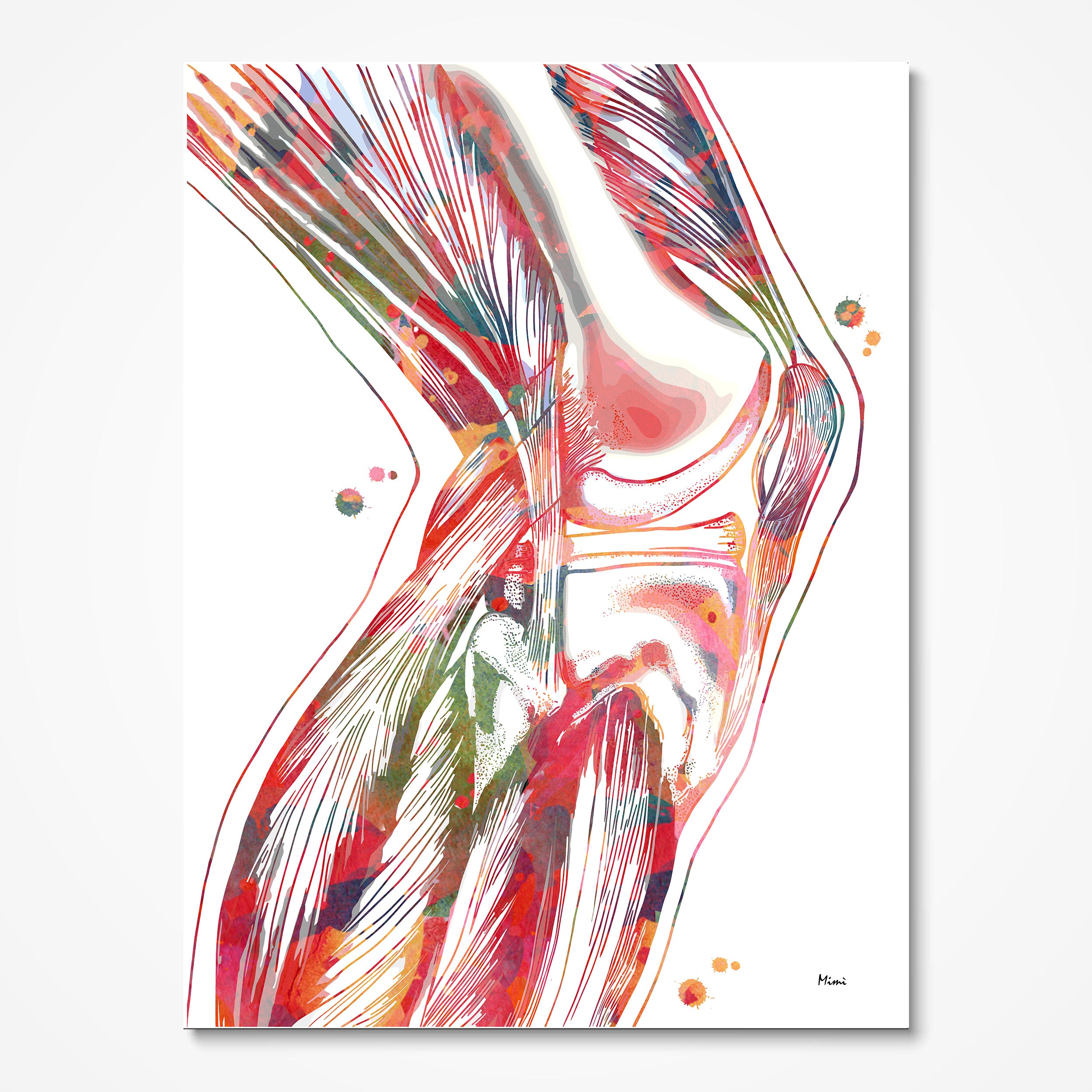 colorful knee anatomy watercolor print