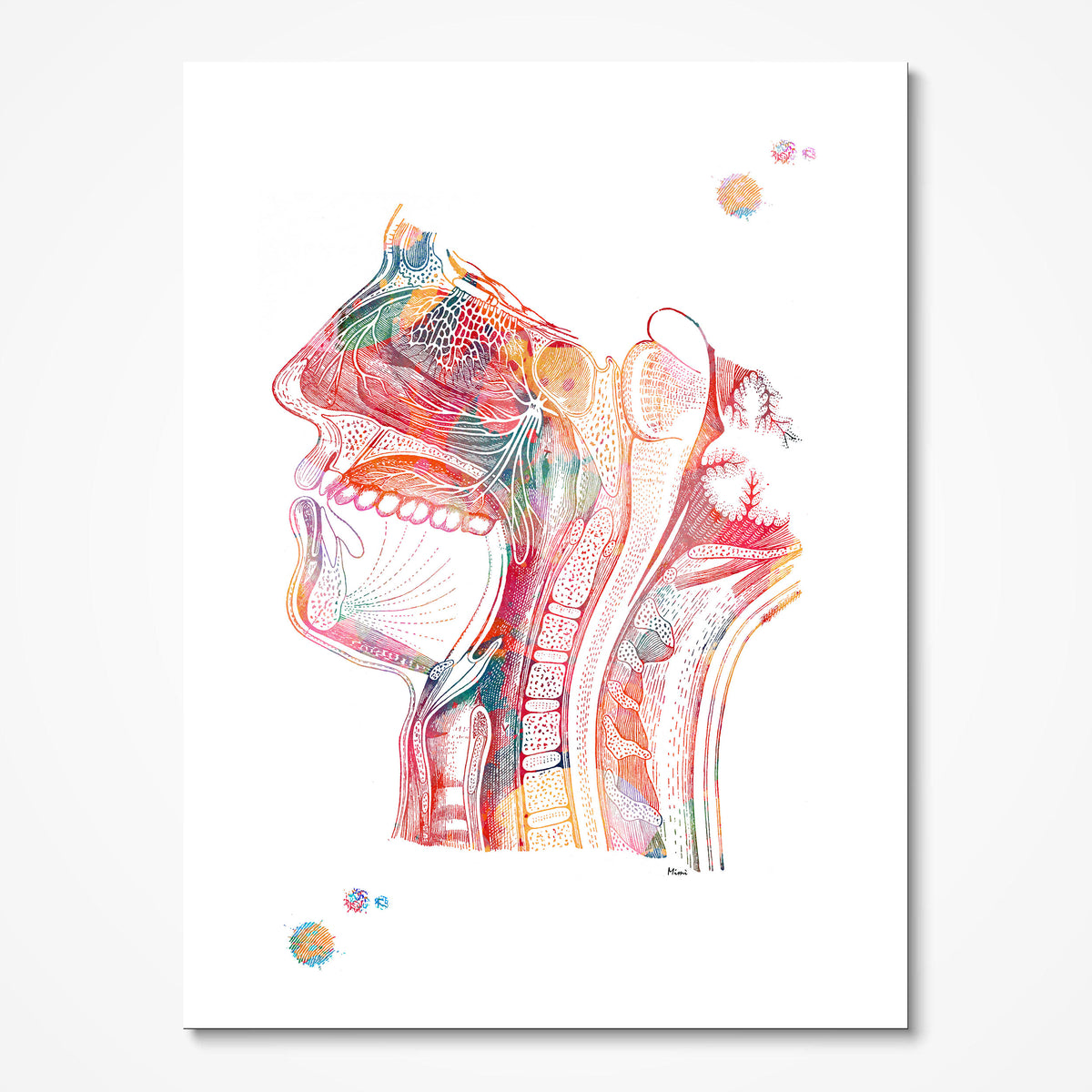 Nose Mouth Throat watercolor art print for ENT clinic wall decor