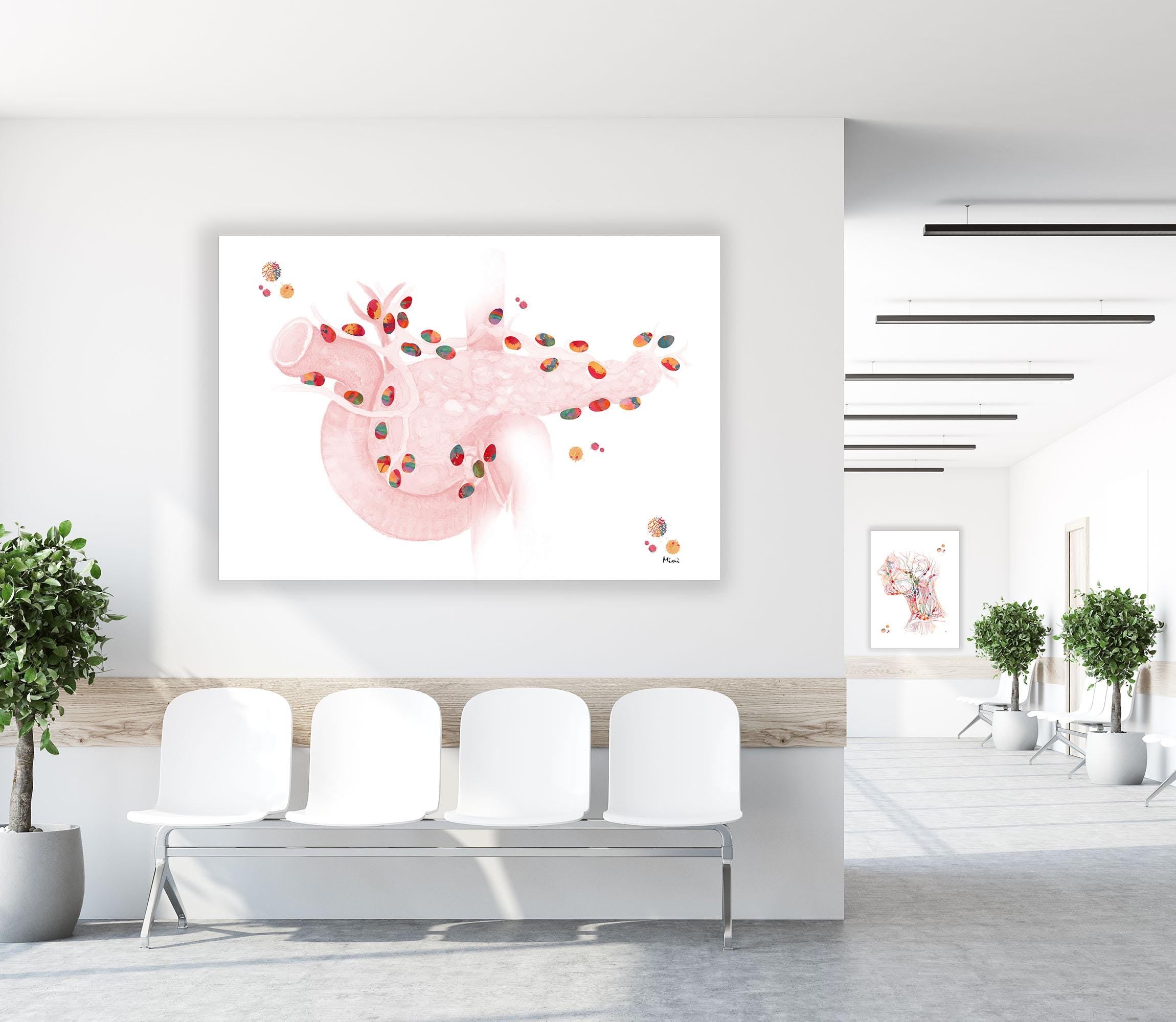 Watercolor print showing the lymph nodes of the human pancreas listing image 4