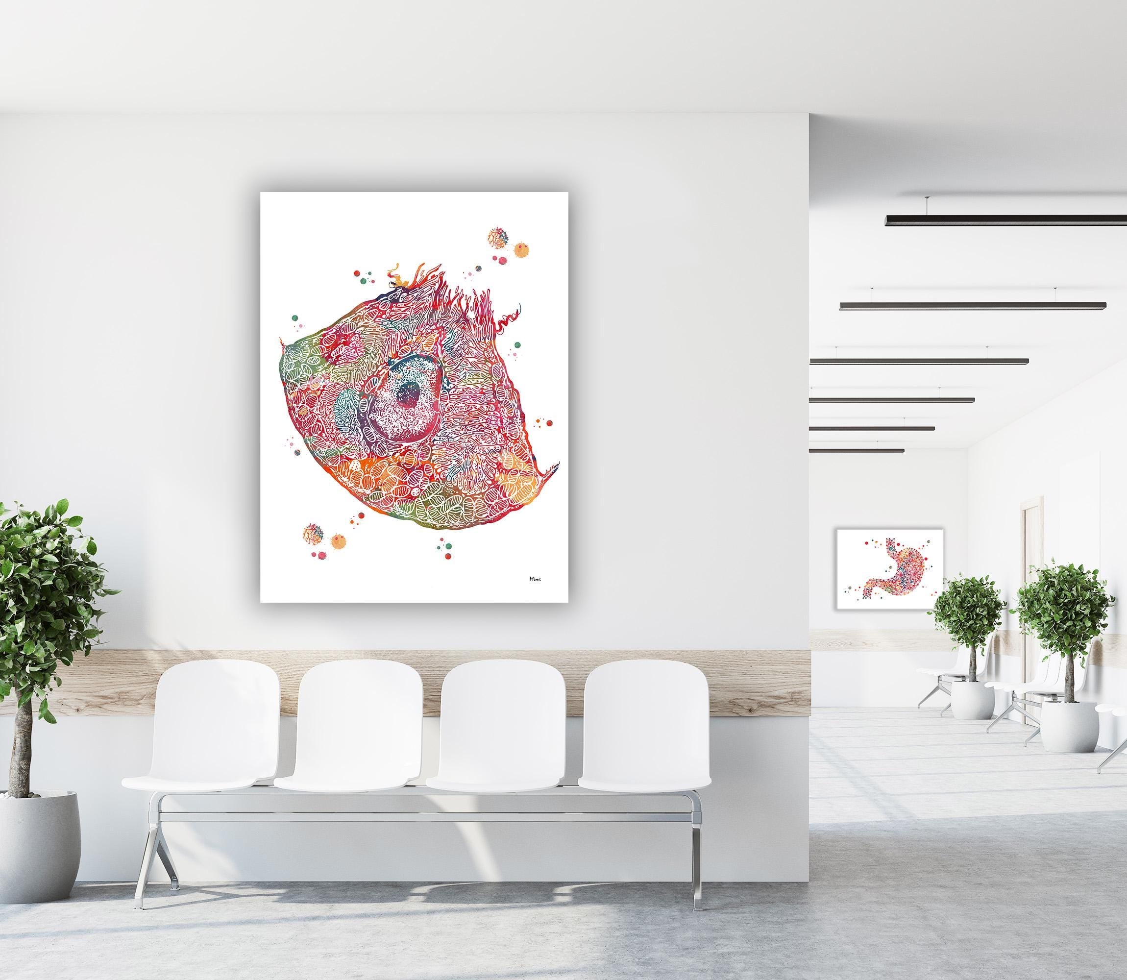 colorful parietal cell watercolor print hanging on a wall in a medical room