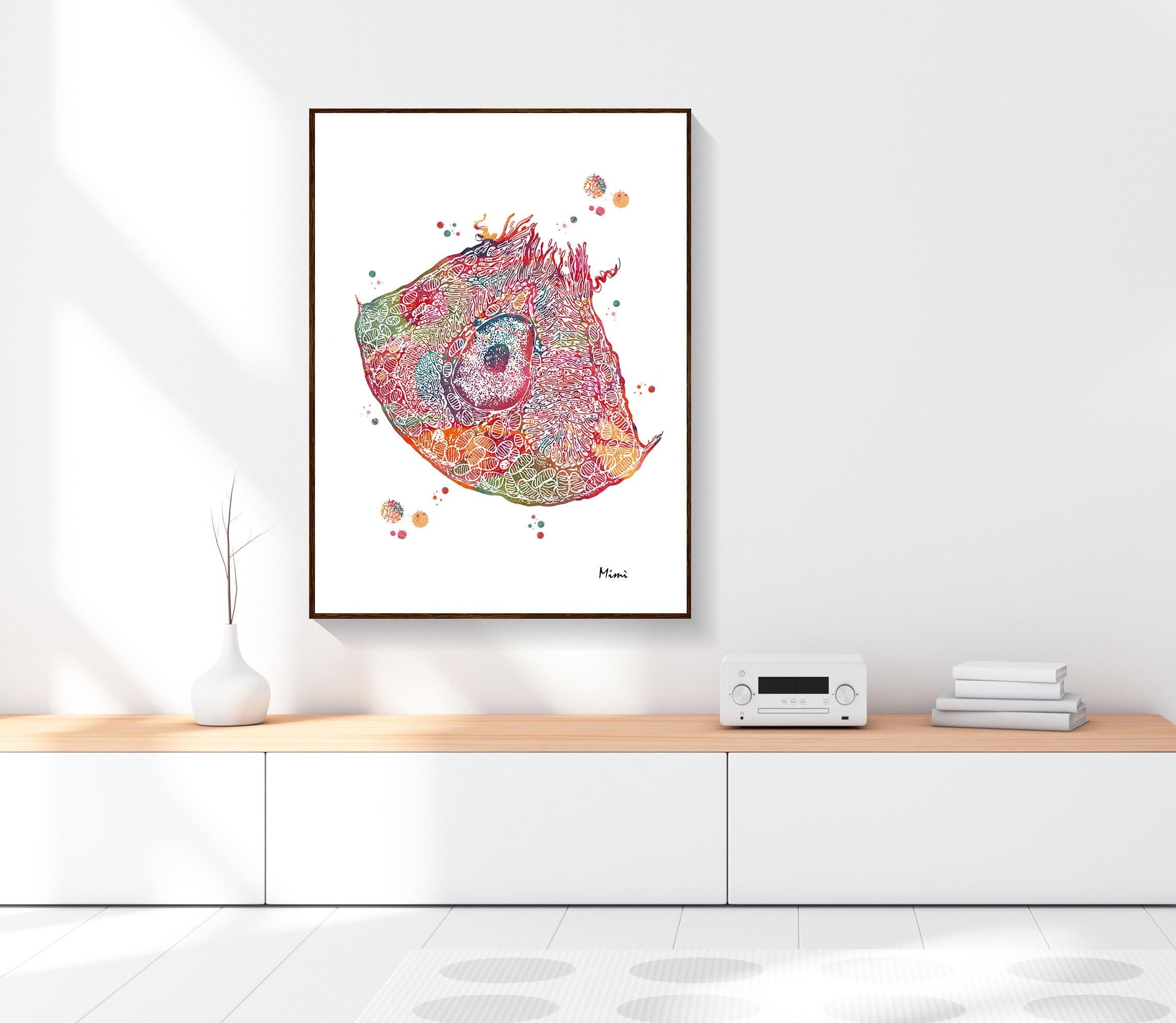 parietal cell anatomy print image 4