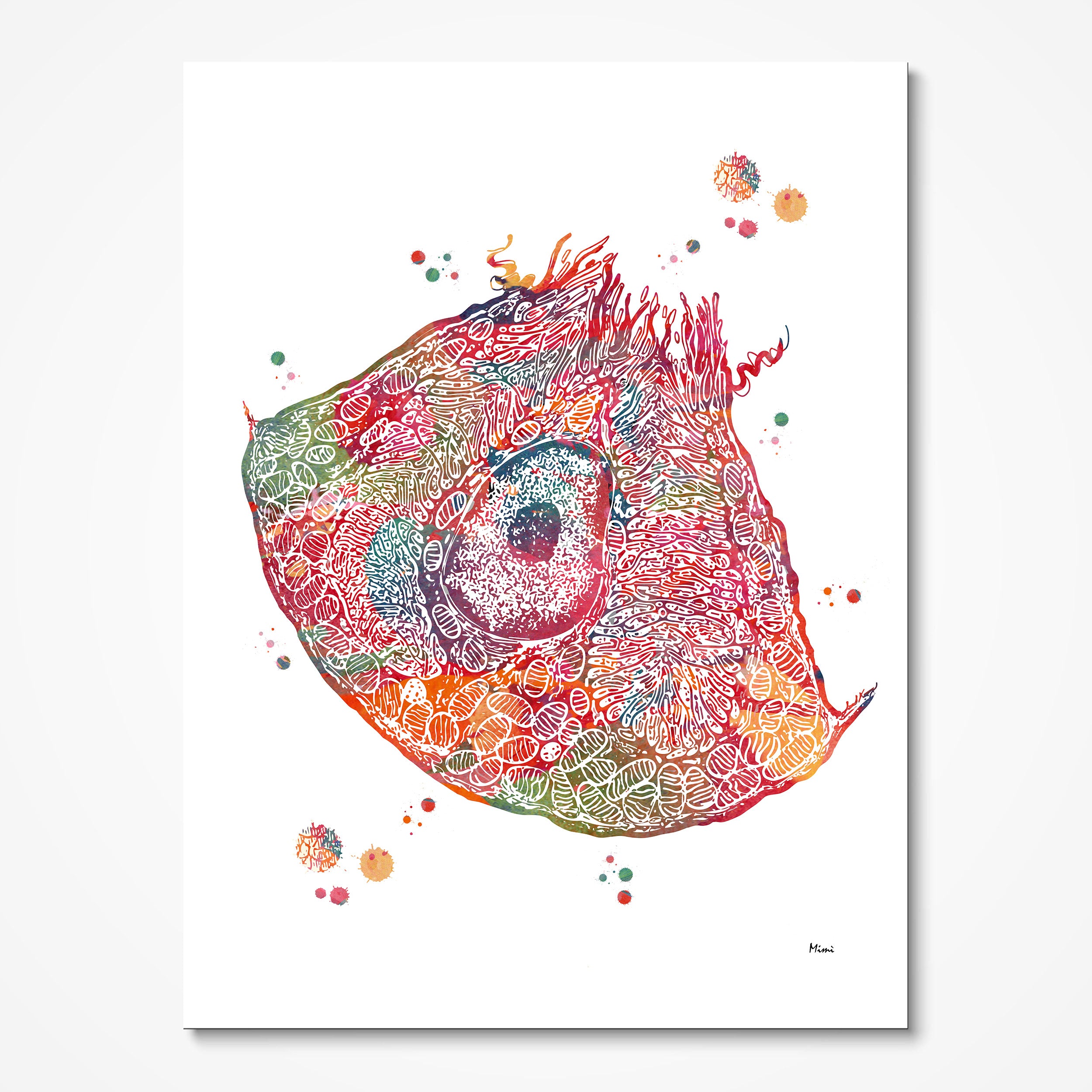 Colorful abstract anatomy print of a parietal cell on a white background