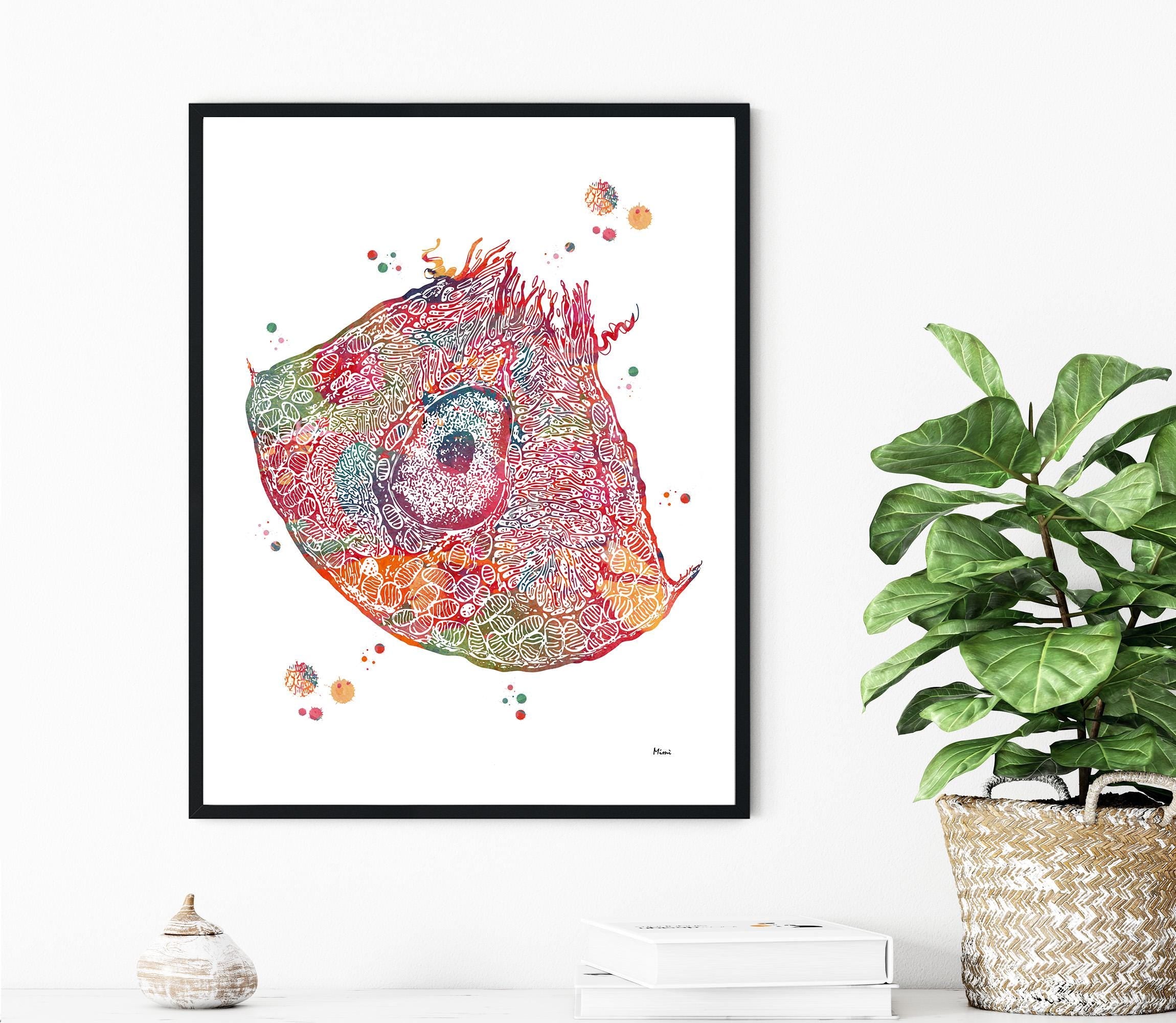 Colorful anatomy art print in a black frame on a white wall