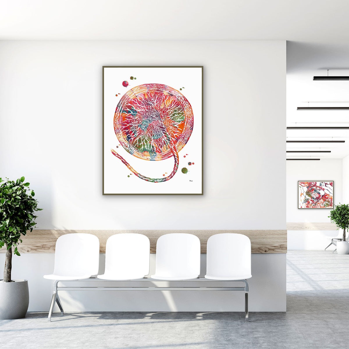 Framed placenta anatomy watercolor print in a clinic waiting room