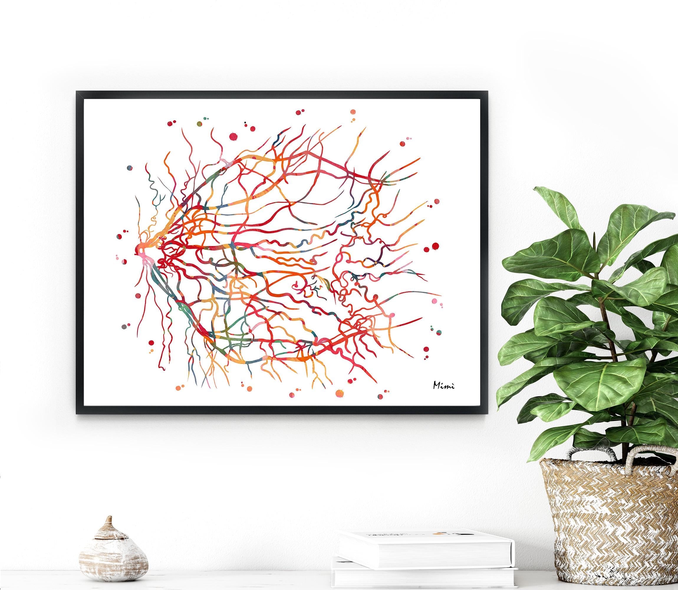 Framed eye anatomy print on a white wall, next to a plant and decorative items.