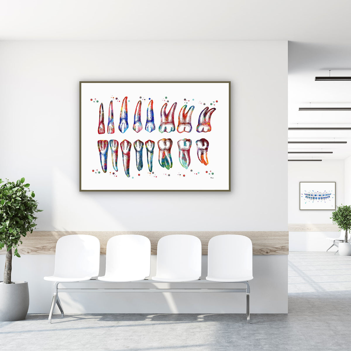 Framed teeth & roots diagram watercolor print in a clinic waiting room