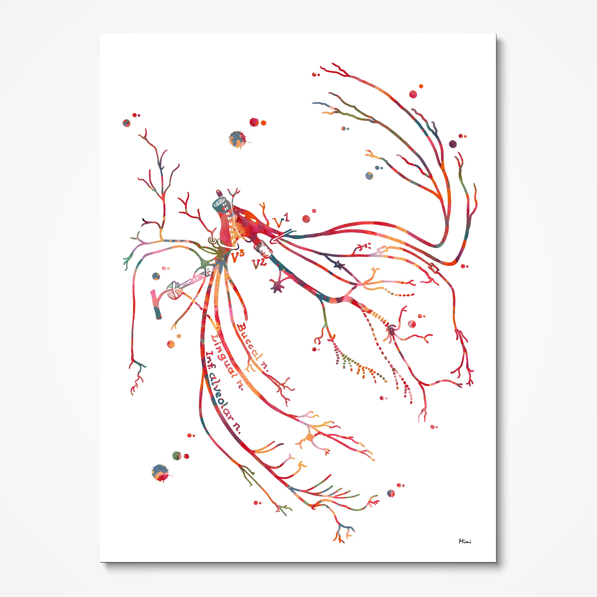 Trigeminal Nerve (Cranial Nerve V) watercolor art print for neurology clinic wall decor