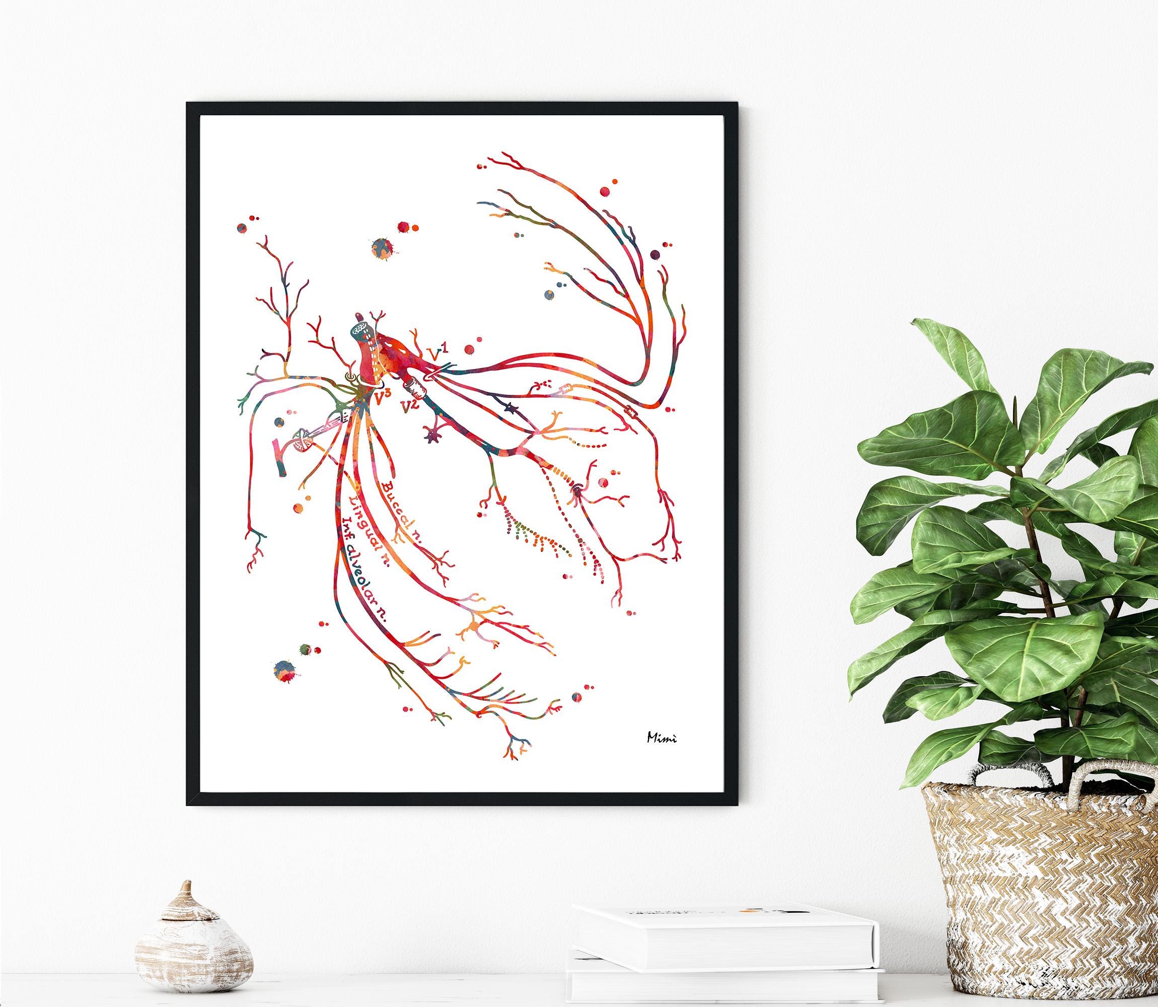 trigeminal nerve print image 1