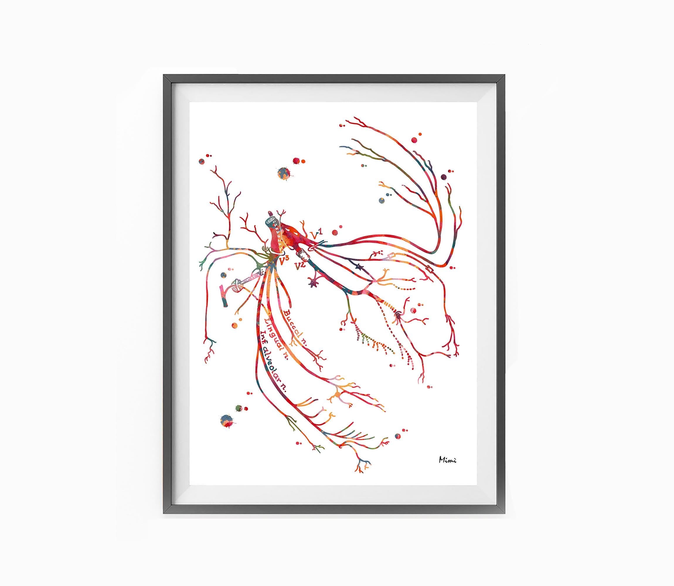 trigeminal nerve print image 3