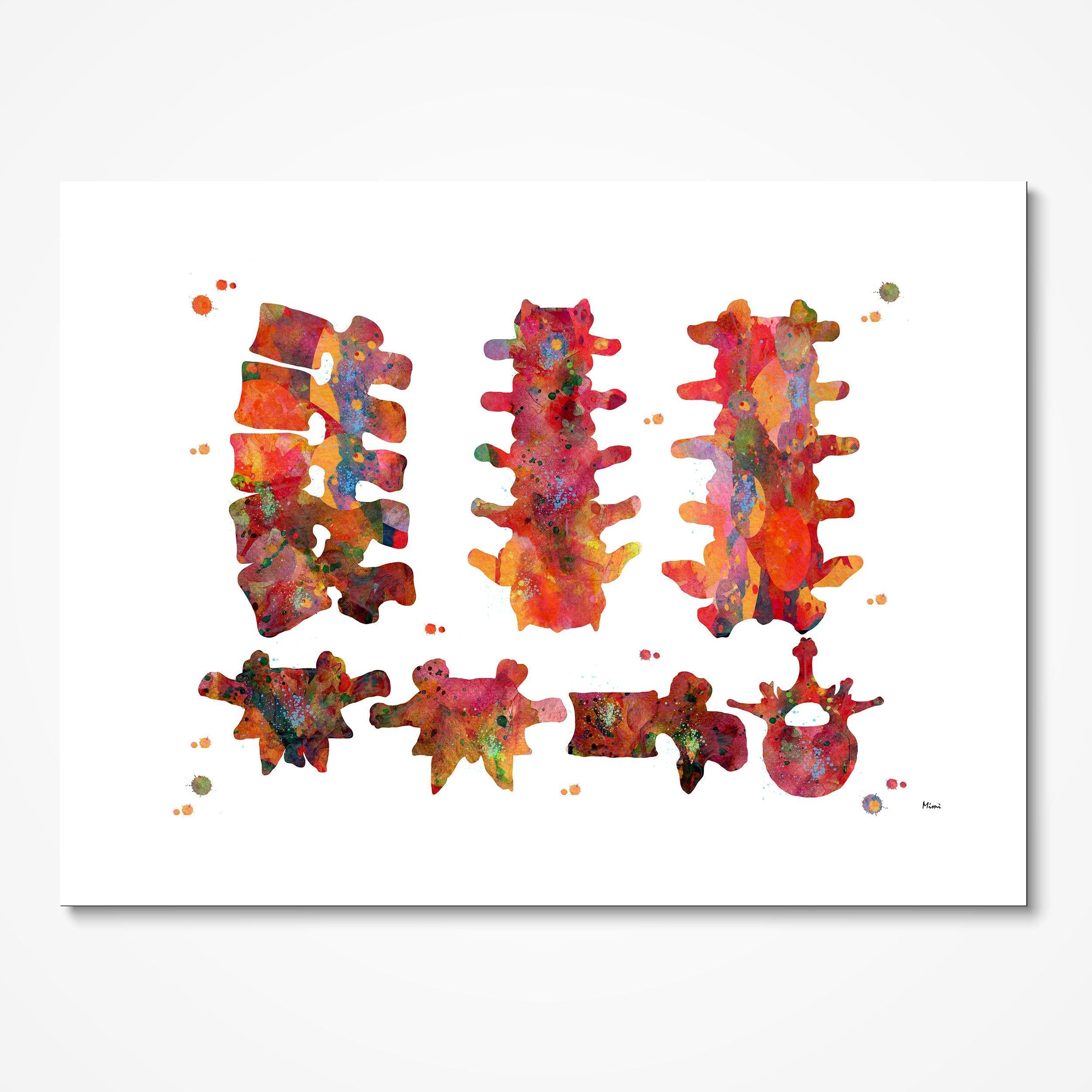 Human Vertebral Bones Anatomy Art Watercolor Print Medicine Clinic Wall Decor