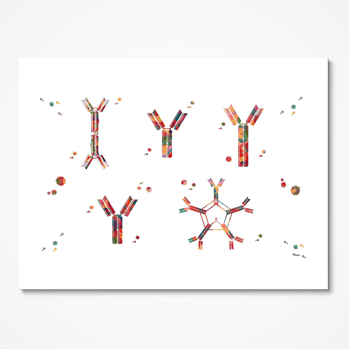 Antigen-Antibody Reaction watercolor art print for immunology lab wall decor