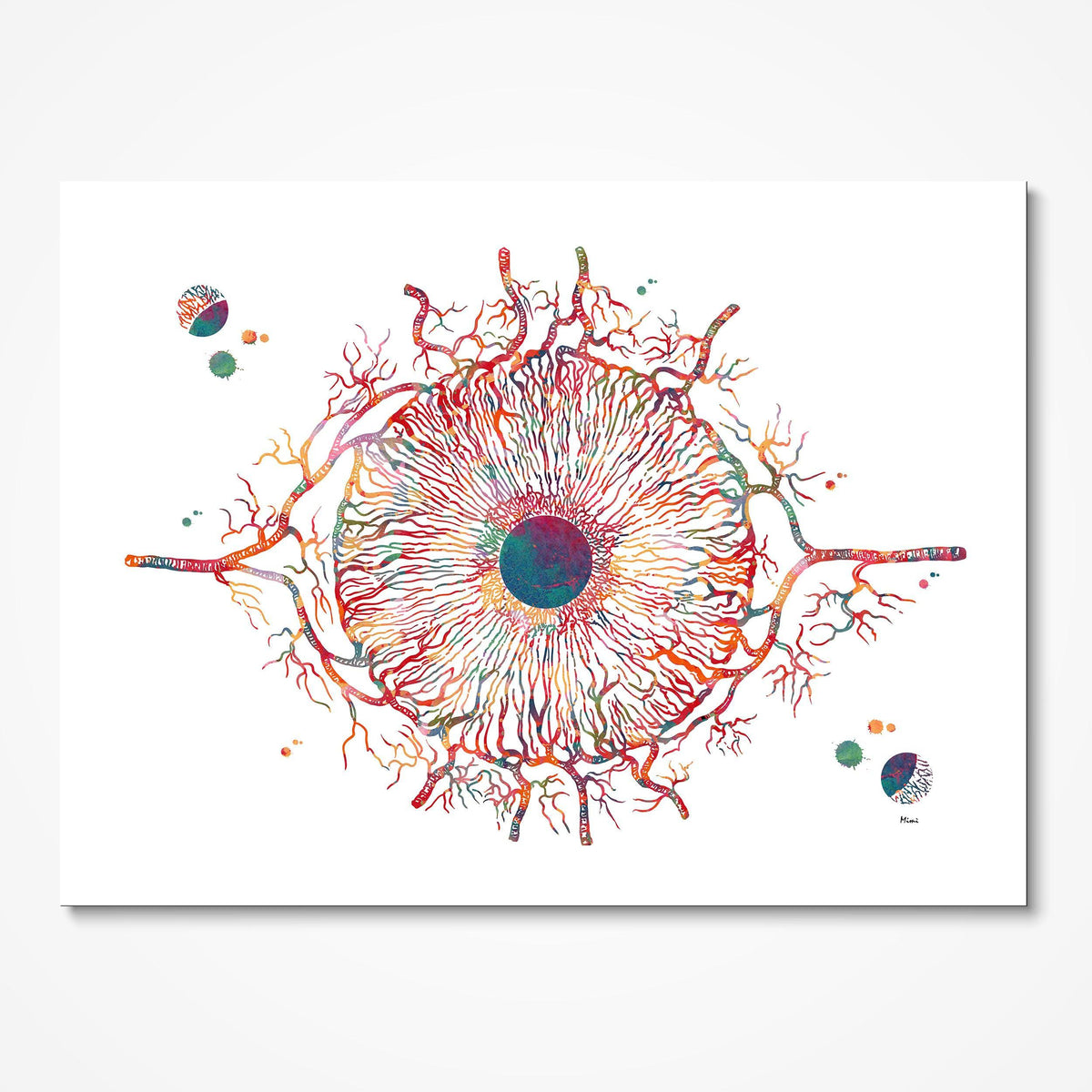 Iris Anatomy watercolor art print for ophthalmology clinic wall decor