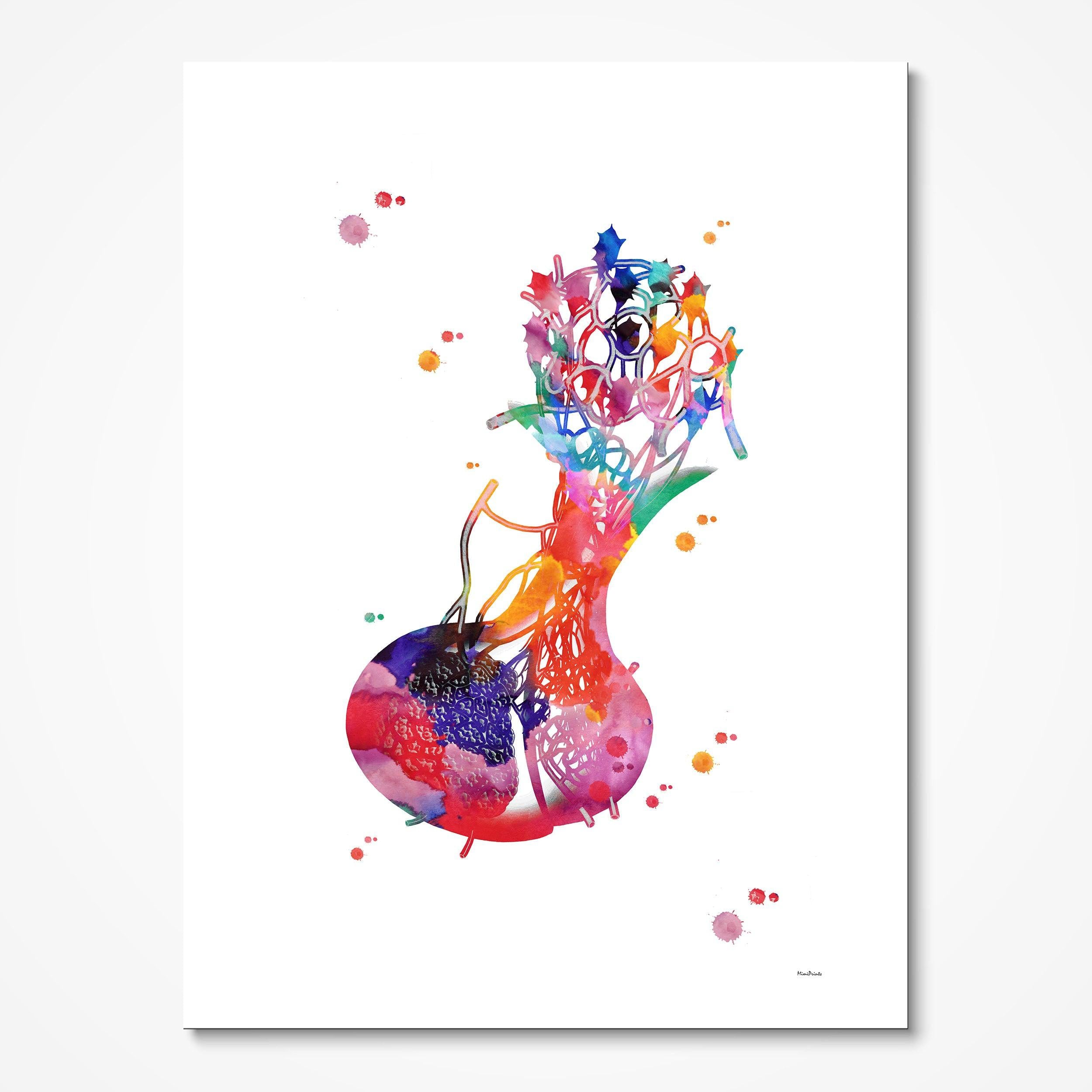 Pituitary Gland watercolor art print for endocrinology clinic wall decor