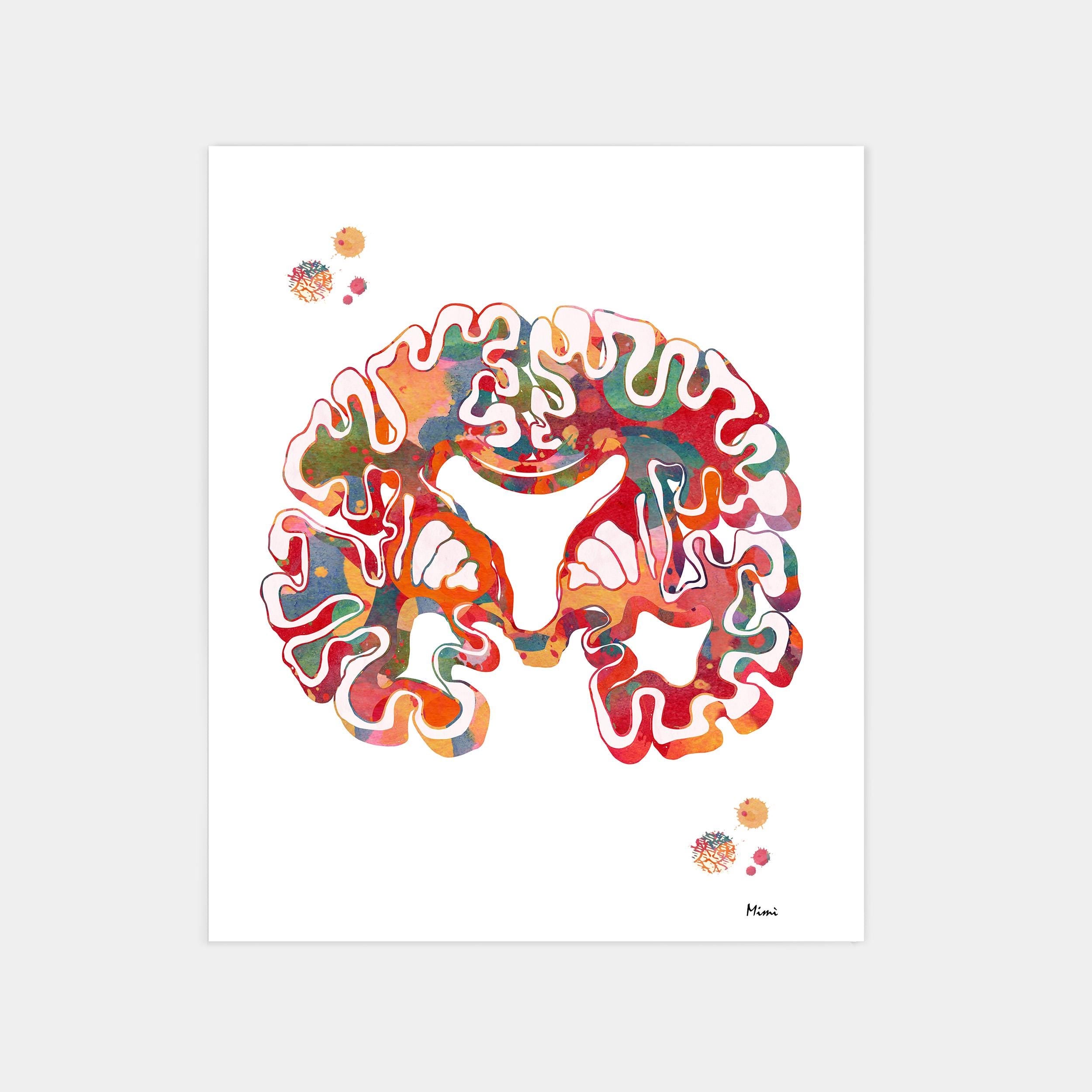 Colorful abstract brain artwork on a white background