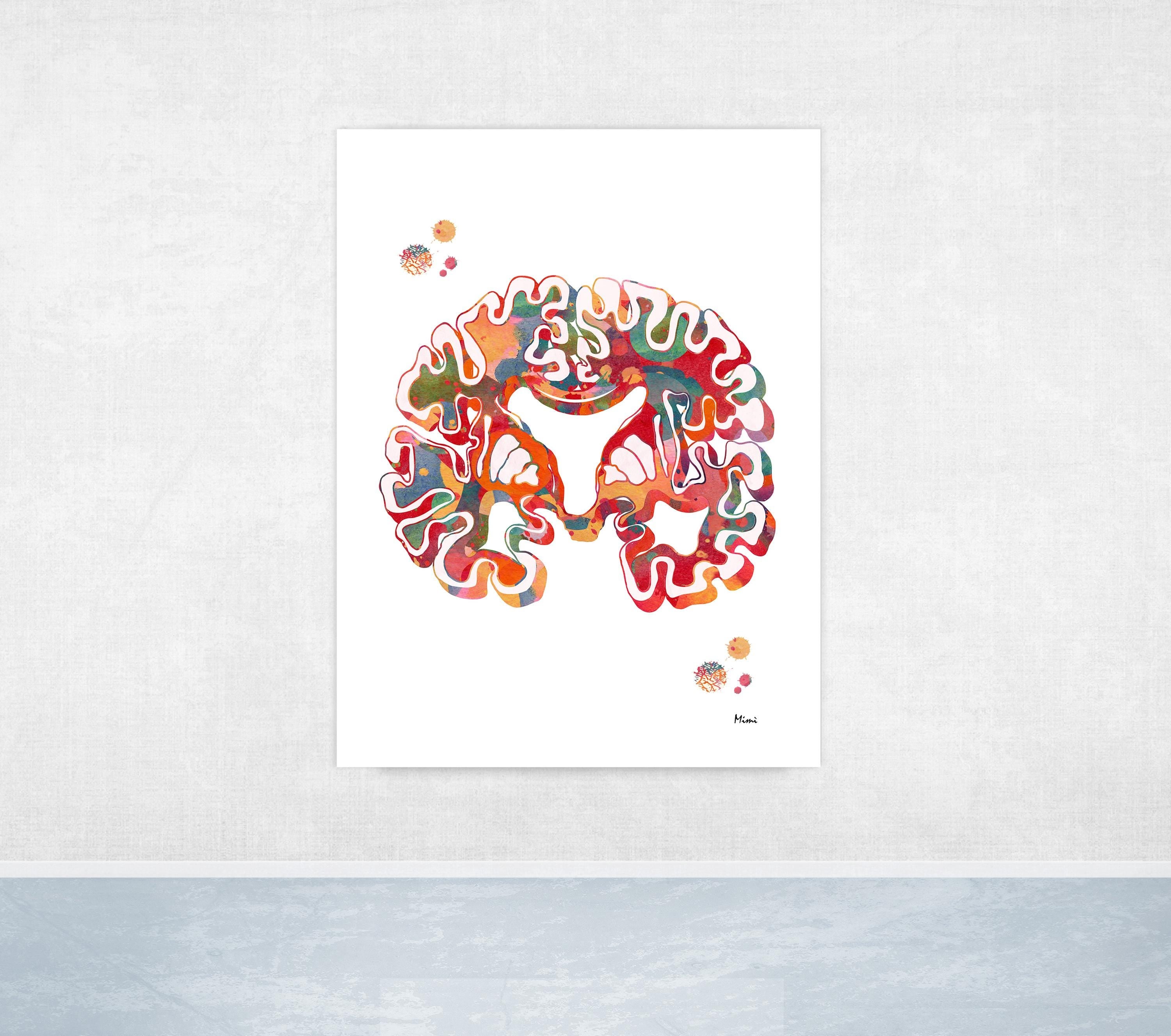 Colorful brain illustration on a white background