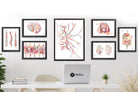 Cervical Plexus Watercolor Print listing Image 4