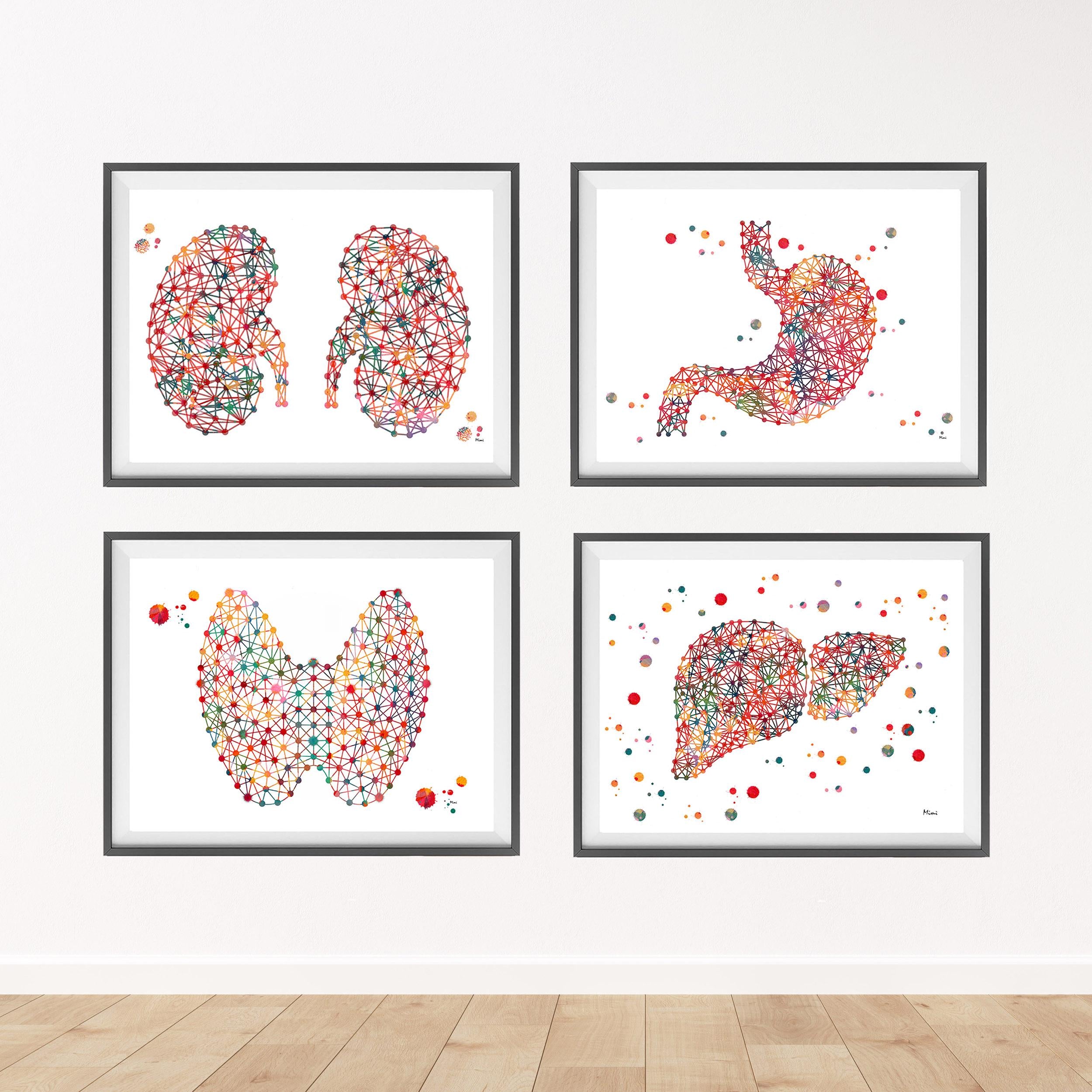 Discounted Set Of 4 Internal Organs Prints Abstract Anatomy Image 2