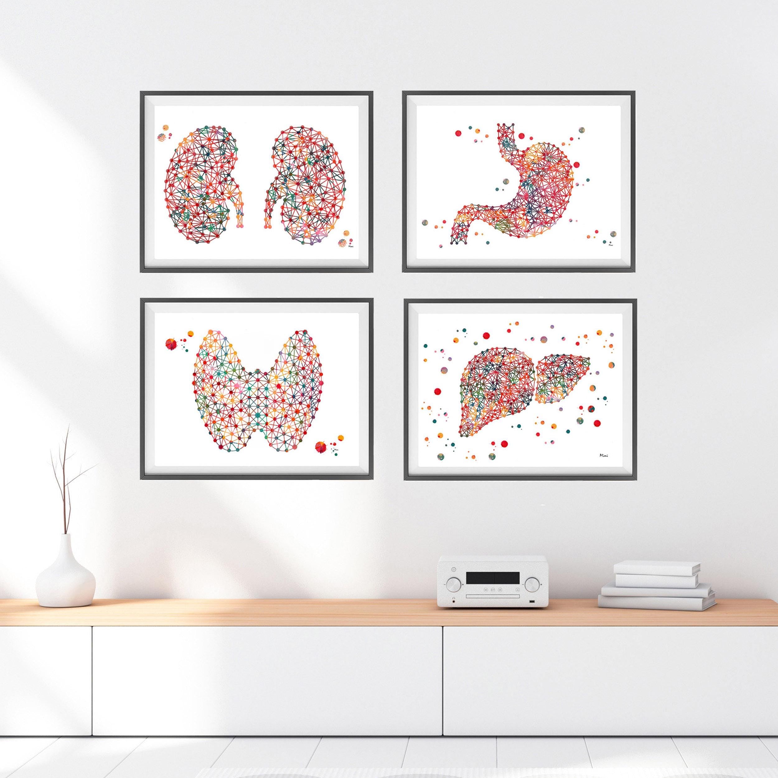 Discounted Set Of 4 Internal Organs Prints Image 5