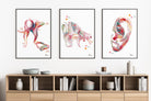 Product listing image with the 3 ear anatomy prints hanging on a wall 2