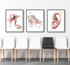 Product listing image with the 3 ear anatomy prints hanging on a wall  3